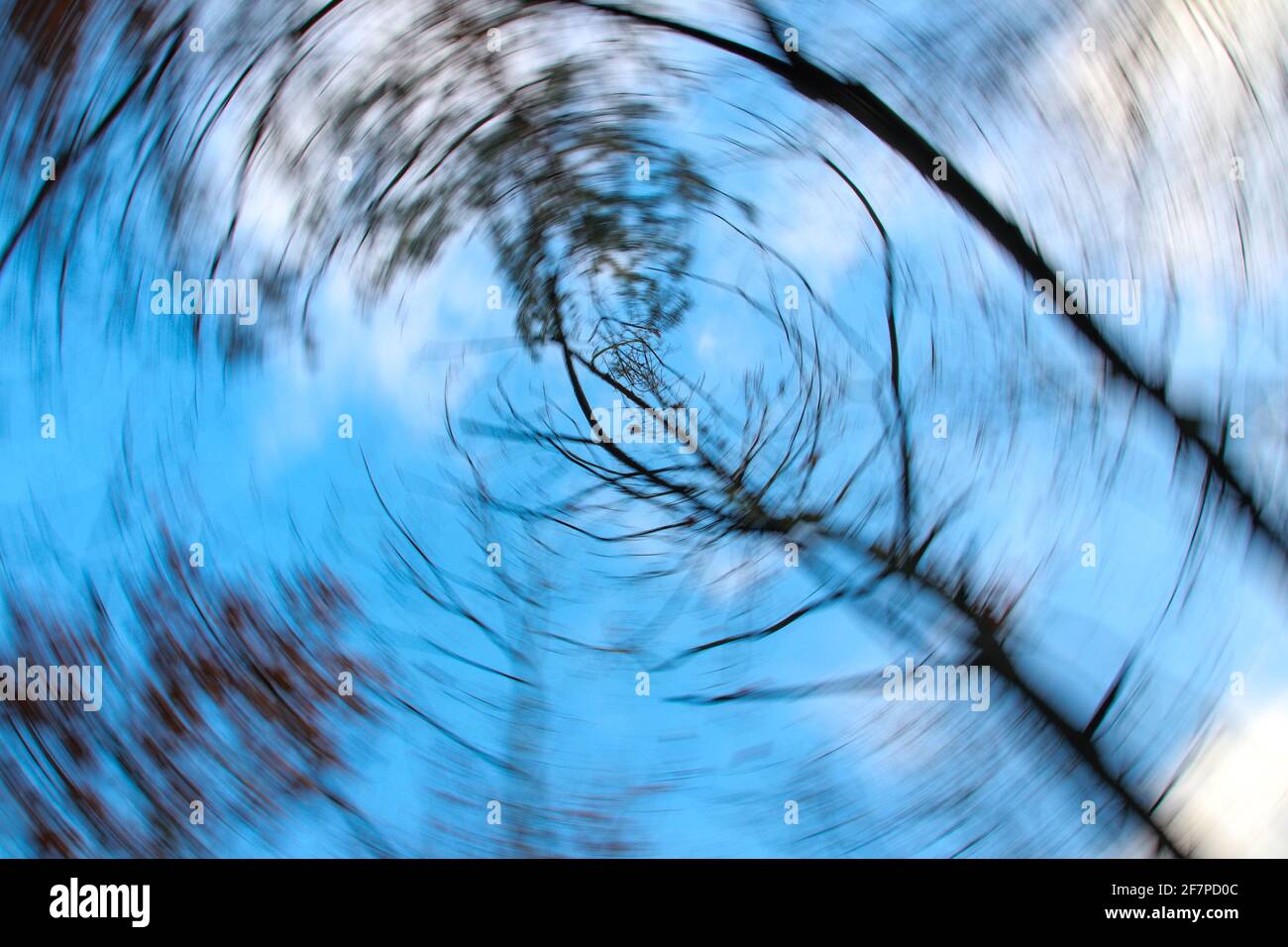 Abstract motion. Tree with green Leaves and blue sky. Looking up in the ...