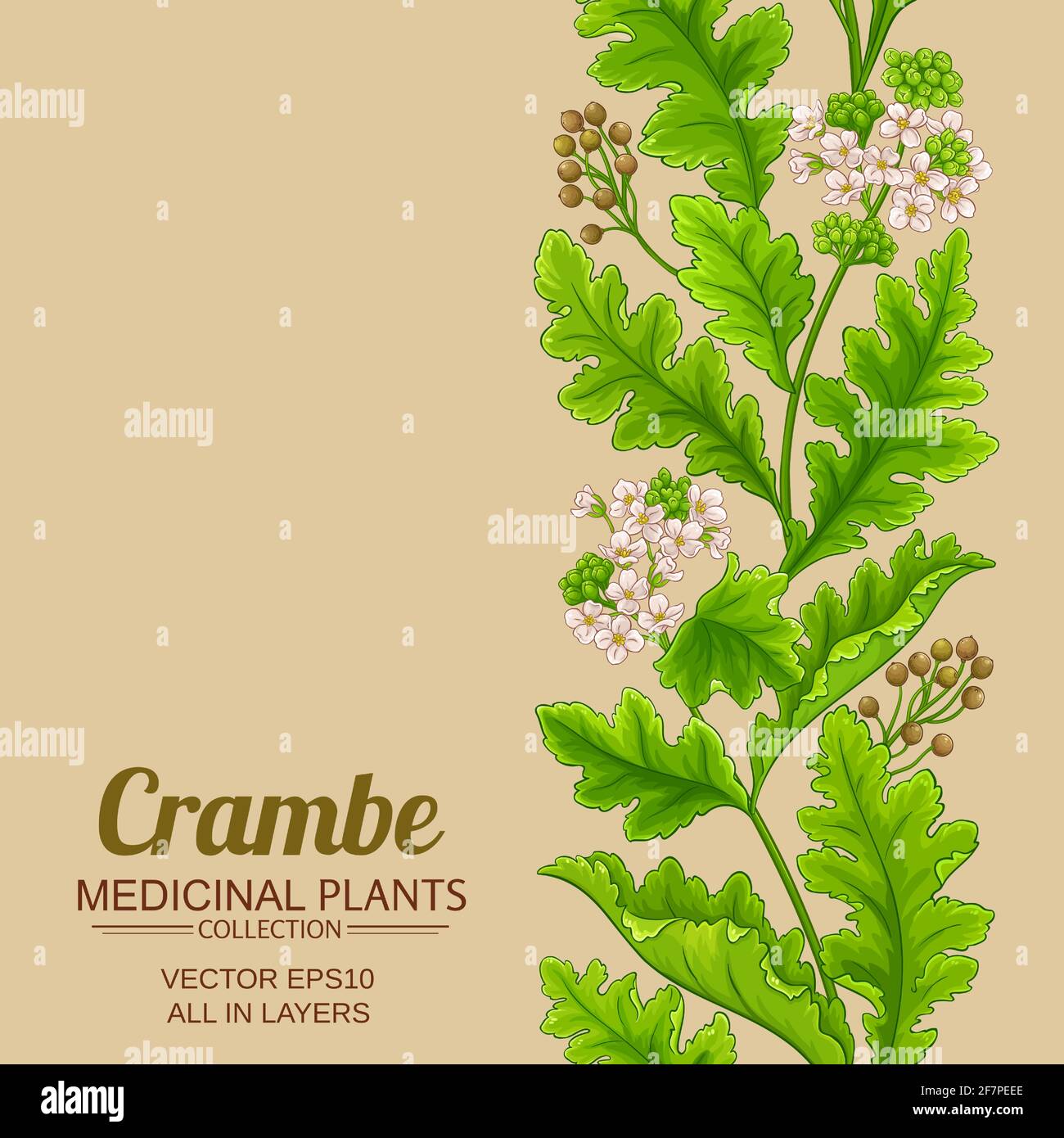 Vertical natural background fresh green Stock Vector Images - Alamy