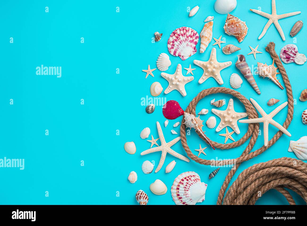 Different types of seashells and starfish on a blue background with a rope. Horizontal view, copy space. Stock Photo
