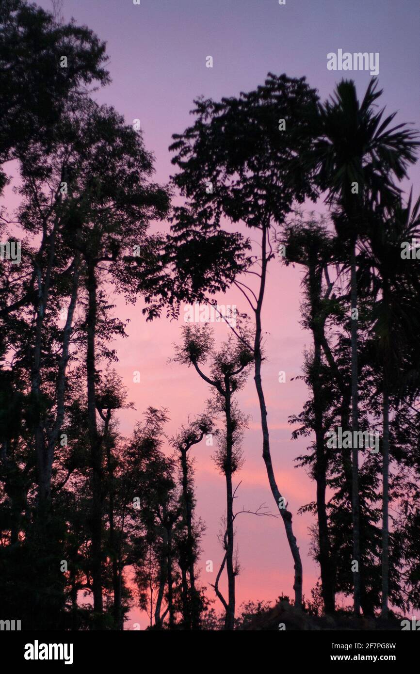 Sunset view at Nagarhole, Karnataka, India Stock Photo
