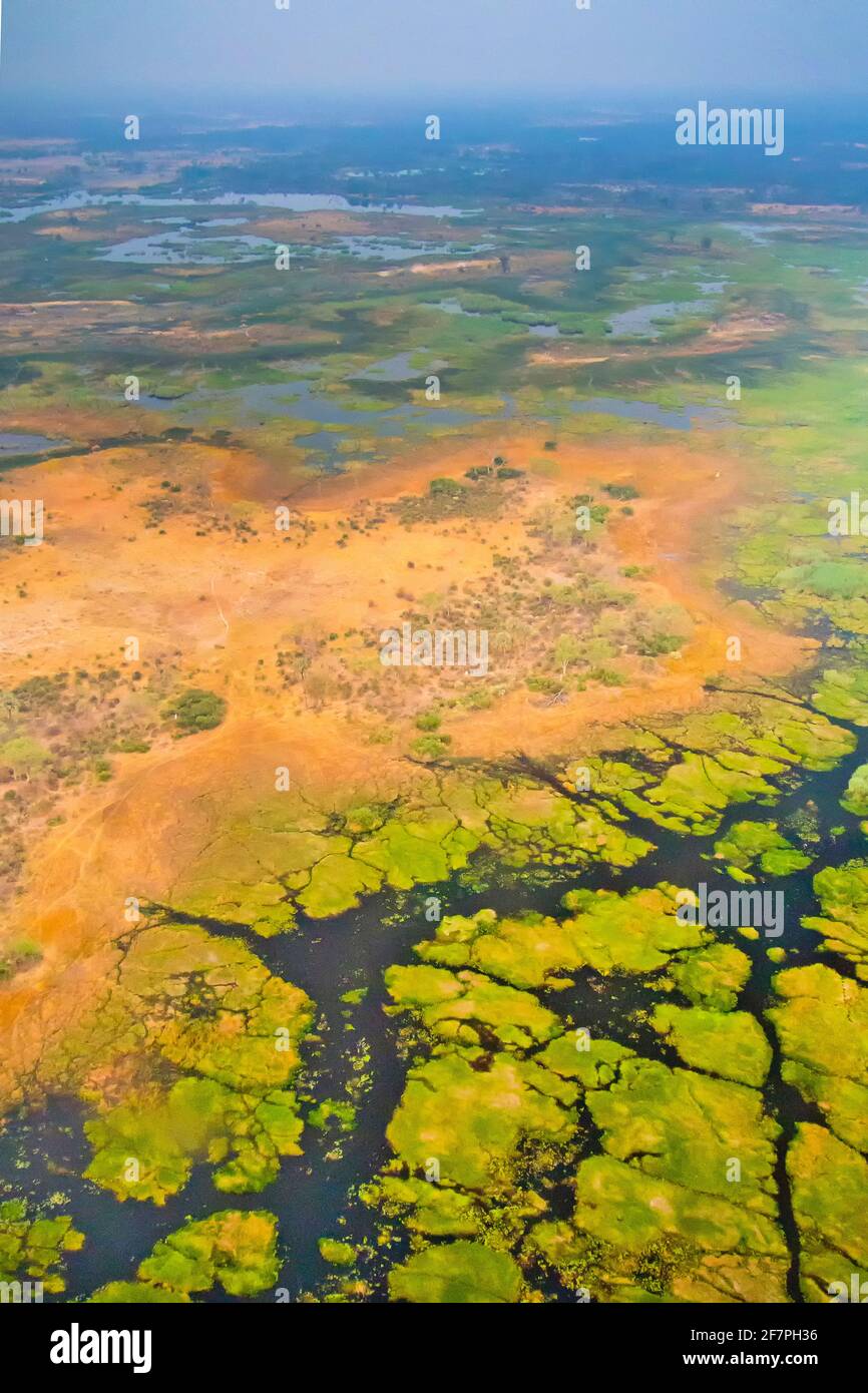 Aerial view, Okavango Wetlands, Okavango Delta, UNESCO World Heritage