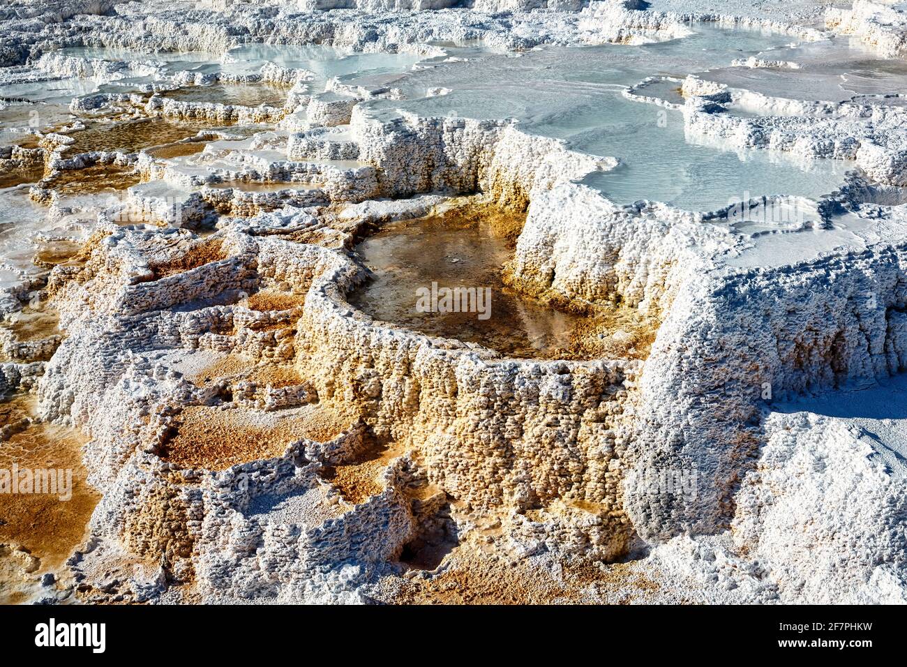 Palette Springs. Devils thumb at the Mammoth Hot Springs. Yellowstone National Park. Wyoming. USA. Stock Photo