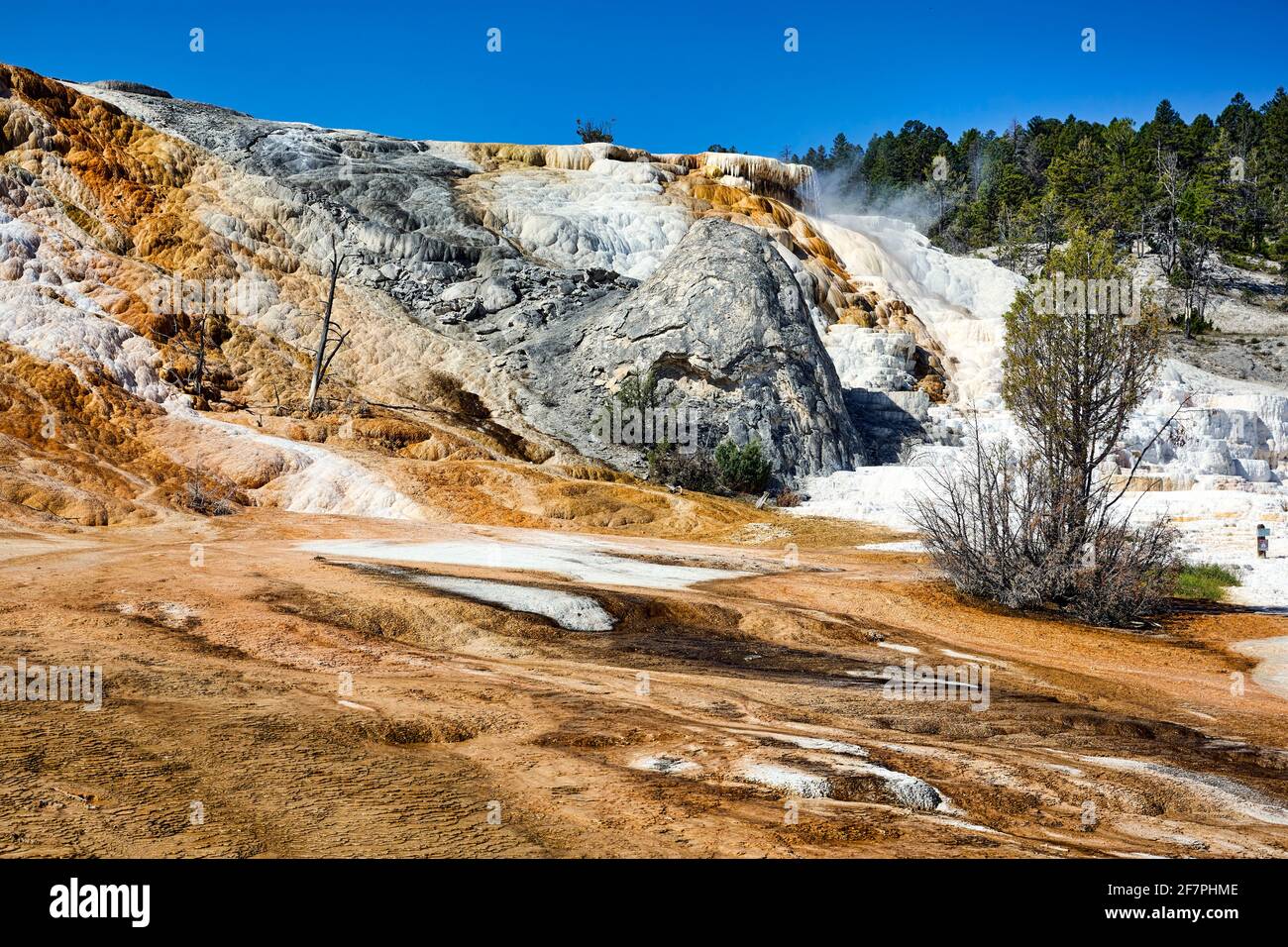 Palette Springs. Devils thumb at the Mammoth Hot Springs. Yellowstone ...