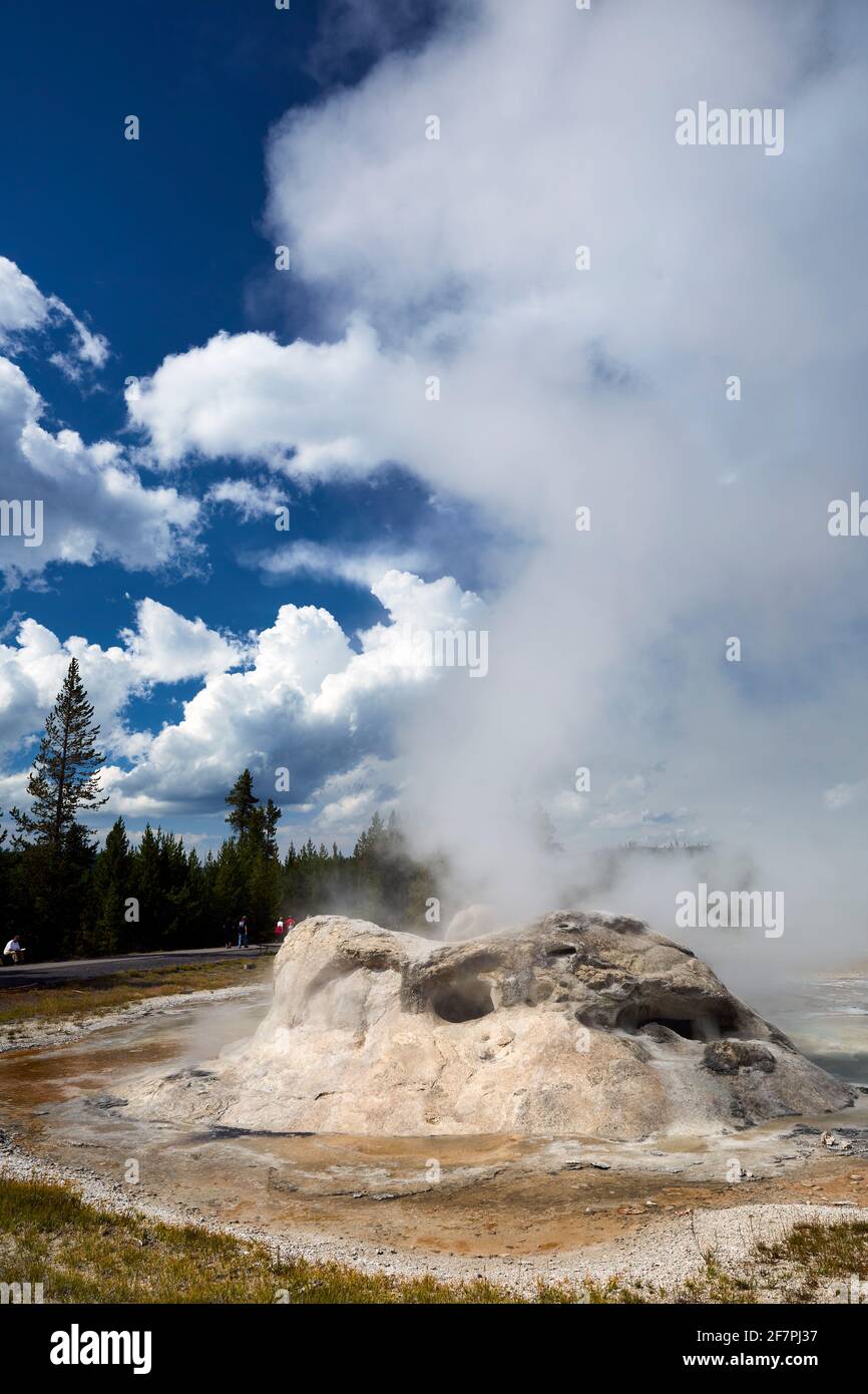 Grotto Geyser In the Yellowstone National Park. Wyoming. USA. Stock Photo