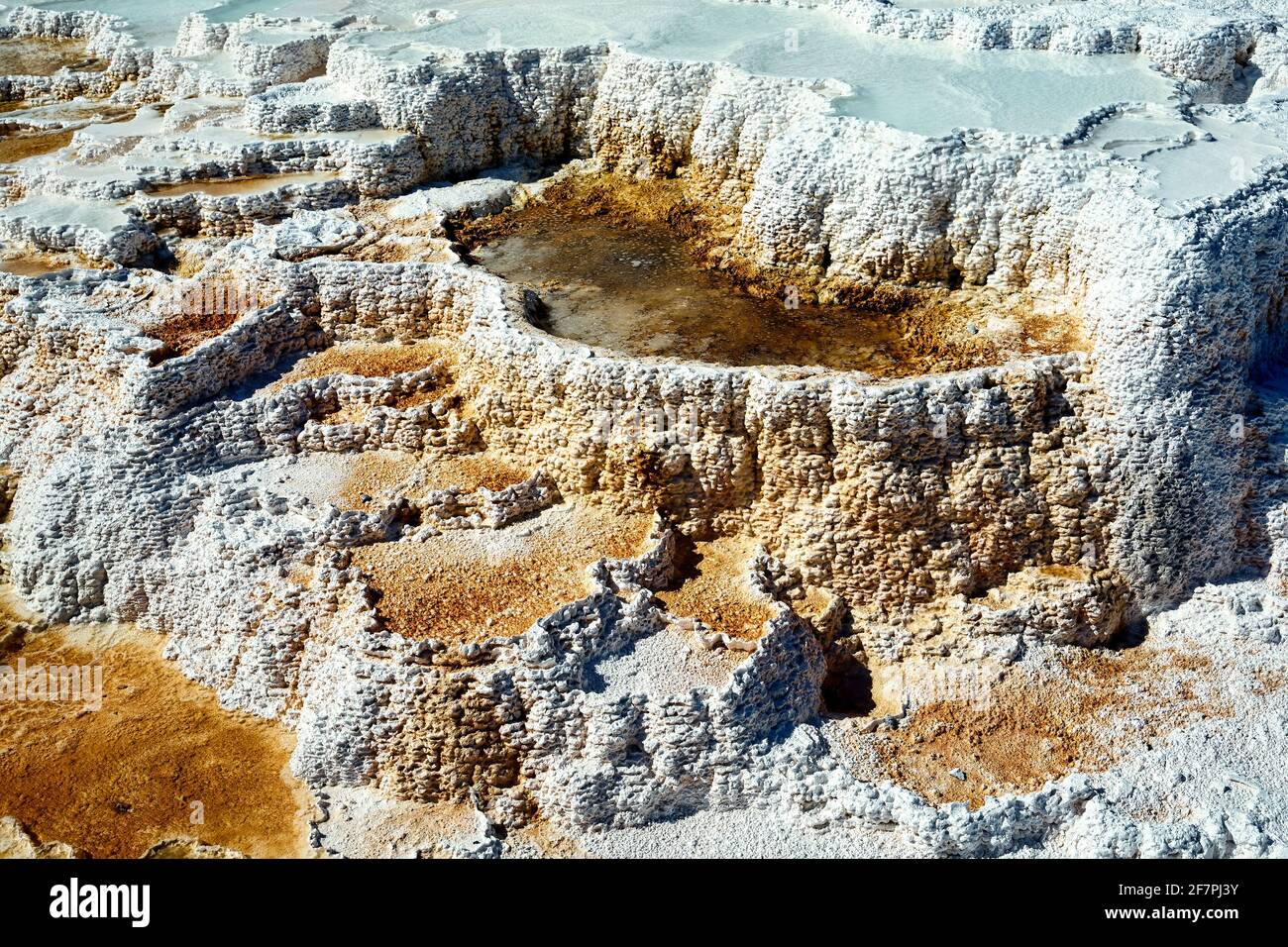 Palette Springs. Devils thumb at the Mammoth Hot Springs. Yellowstone National Park. Wyoming. USA. Stock Photo