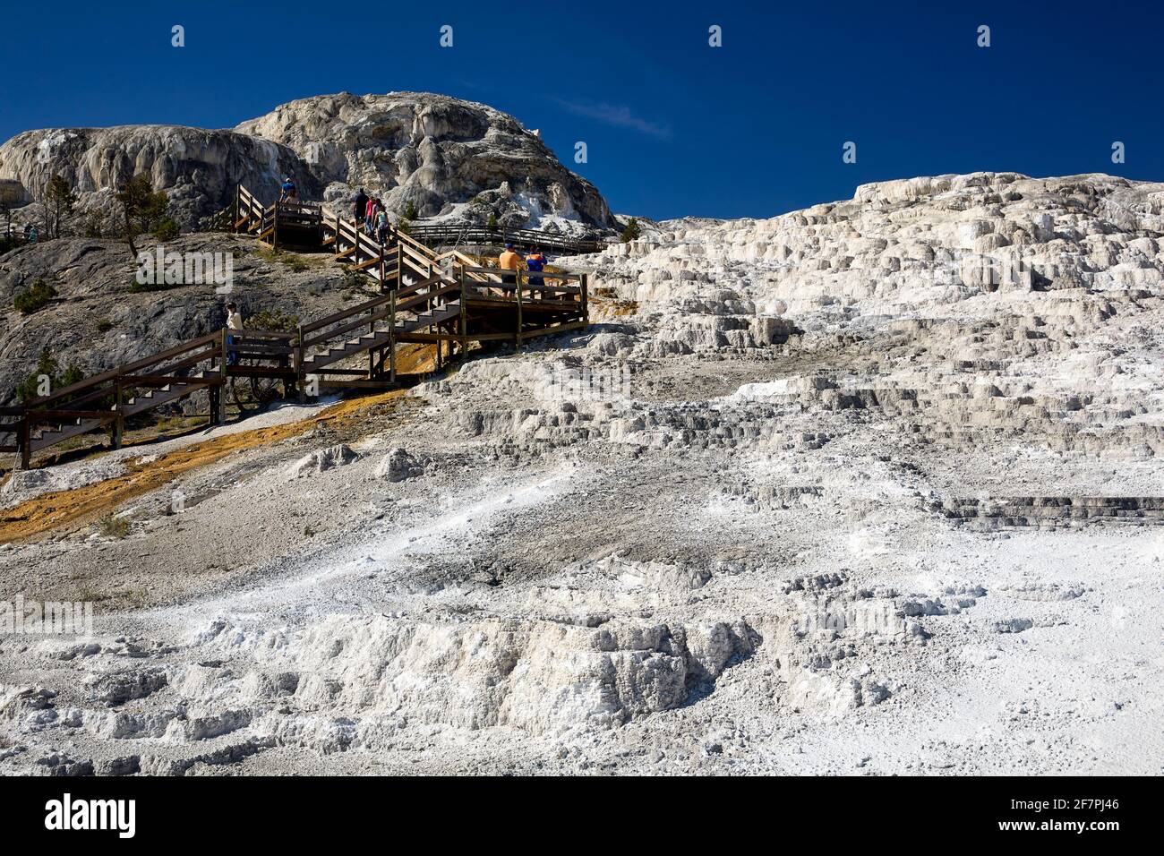 Minerva Terrace at the Mammoth Hot Springs. Yellowstone National Park. Wyoming. USA. Stock Photo