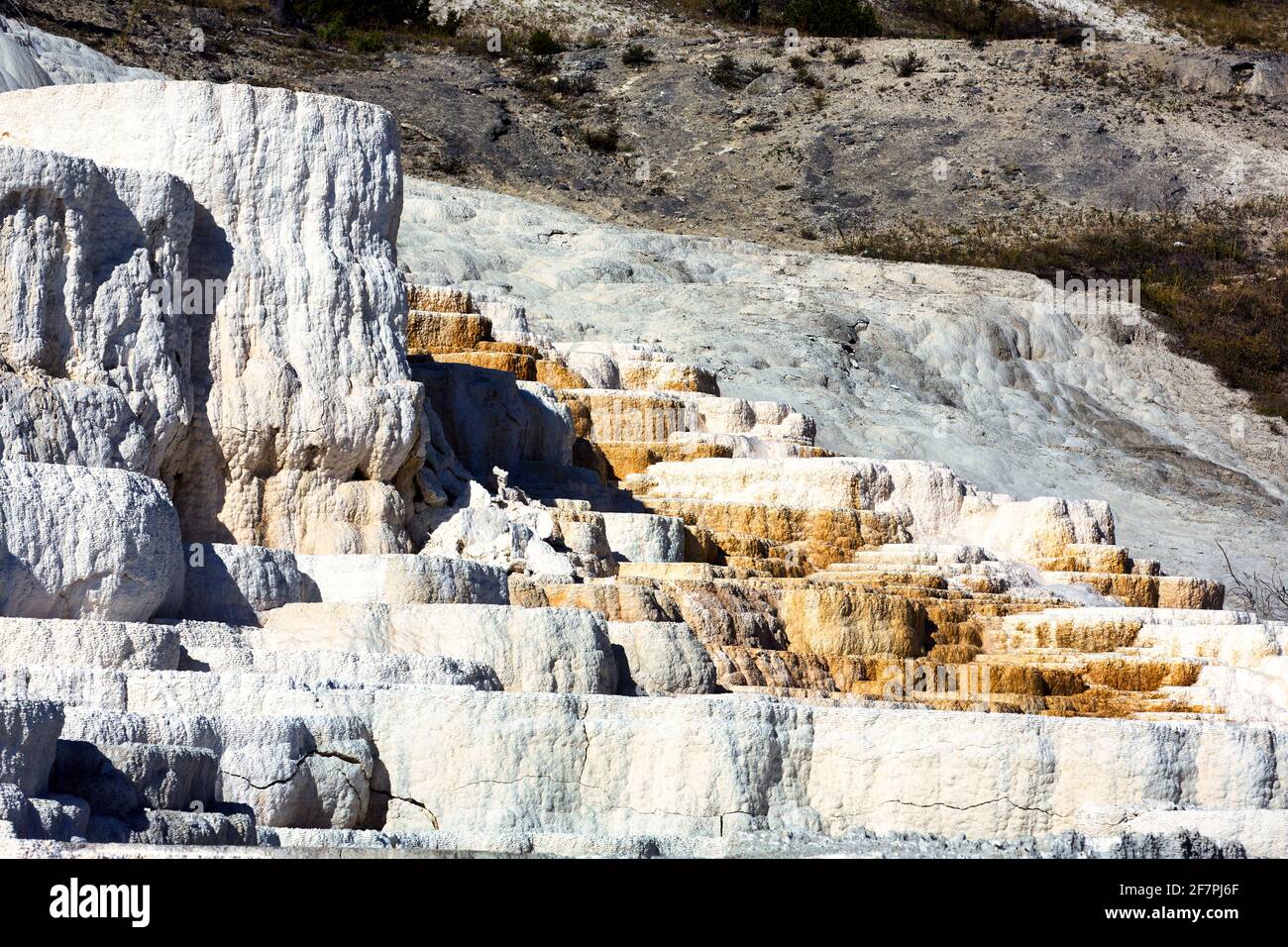Palette Springs. Devils thumb at the Mammoth Hot Springs. Yellowstone National Park. Wyoming. USA. Stock Photo