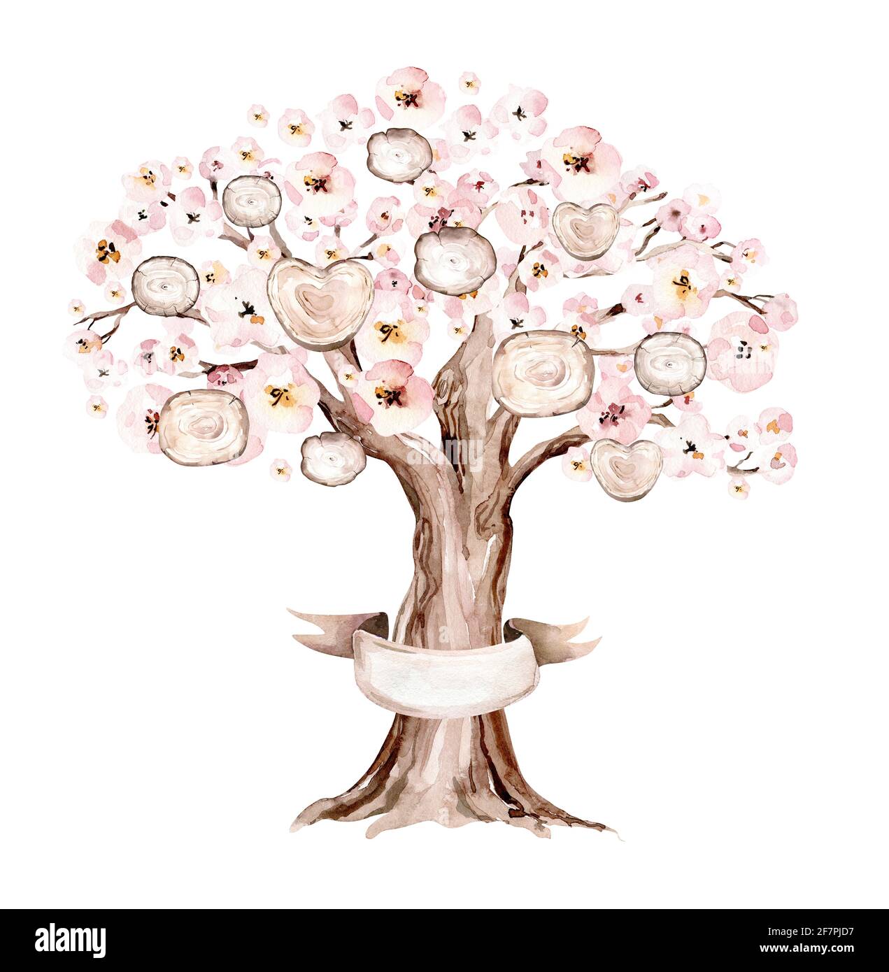 Watercolor Genealogical blossom cherry Family tree. Watercolor children's tree botanical season