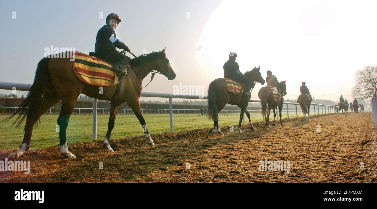 BALLYDOYLE STABLES IN IRELAND  COCONUT BEACH 25/4/2005 PICTURE DAVID ASHDOWNRACING Stock Photo