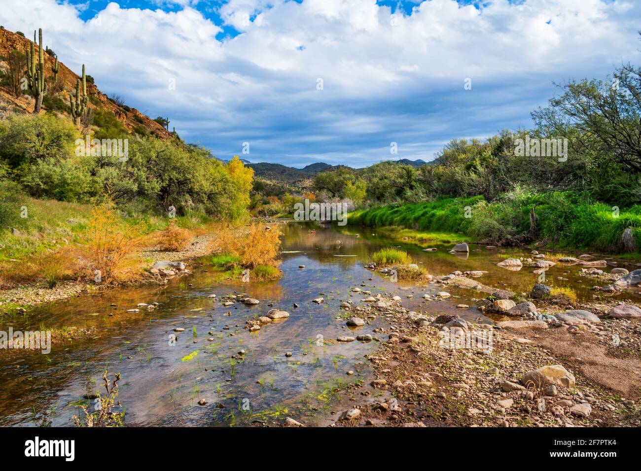 Landscape photo of the Cave Creek at Spur Cross Ranch Conservation Area in Cave Creek, Arizona