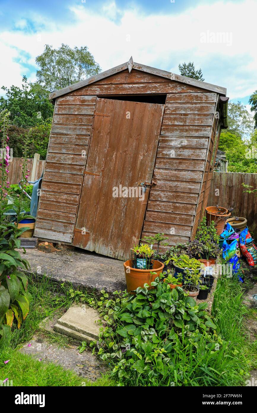 A old wooden garden shed that is leaning and nearly falling down, England, UK Stock Photo