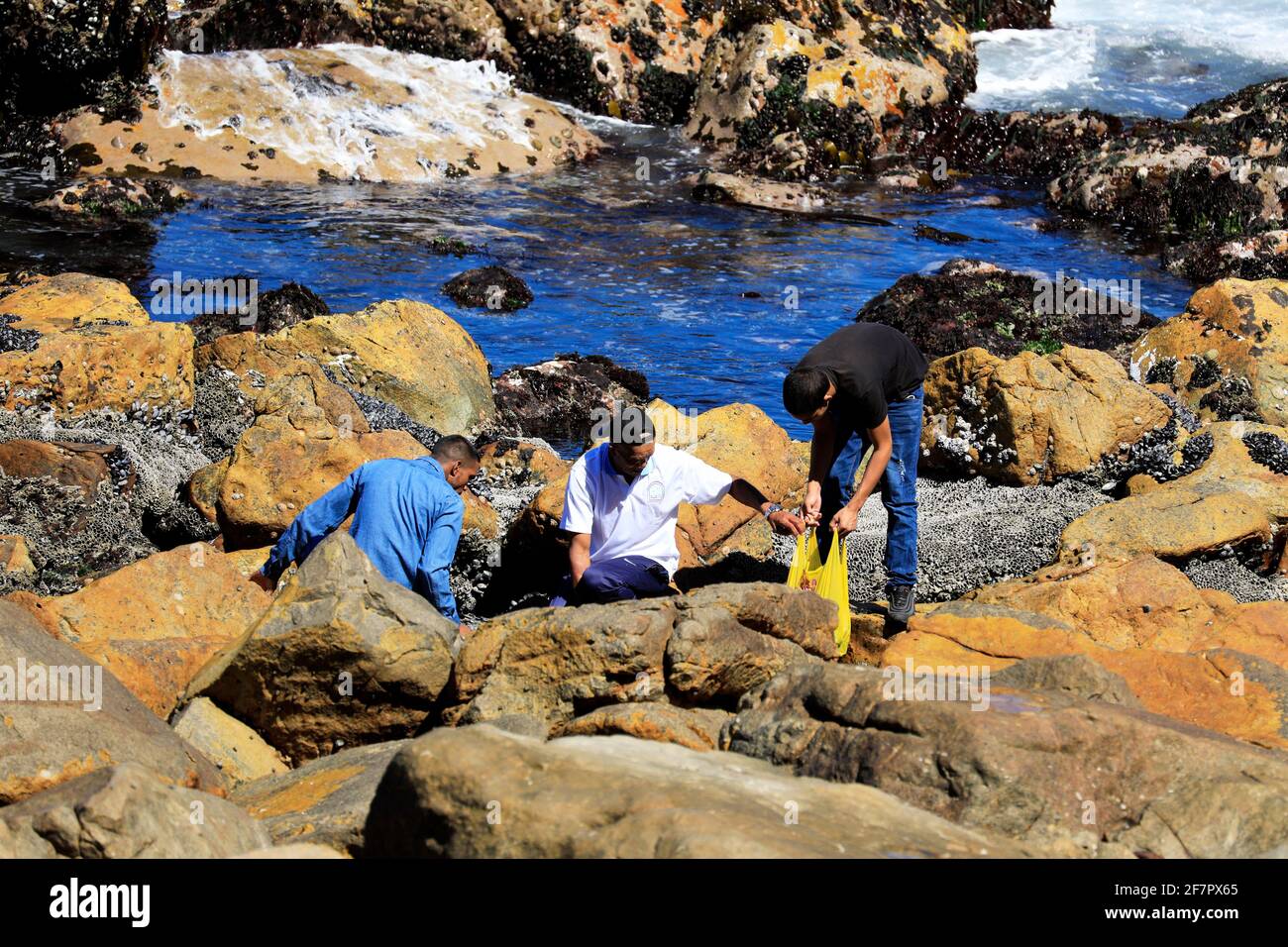 Collecting beach rocks hires stock photography and images Alamy
