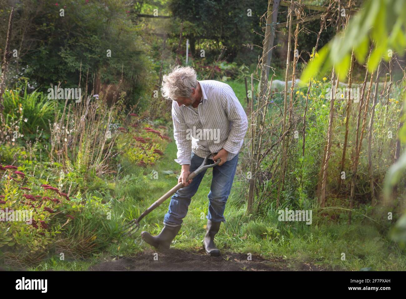 Mole Catcher. Gardener with a sharp fork waiting to catch a mole Stock Photo