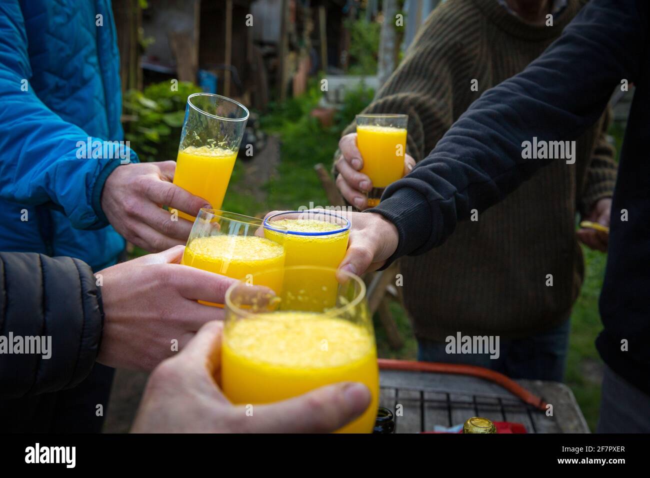 Buck's Fizz - always refreshing at the end of the day. Covid pandemic requires that we stay outside but a drink in the garden is always good! Stock Photo