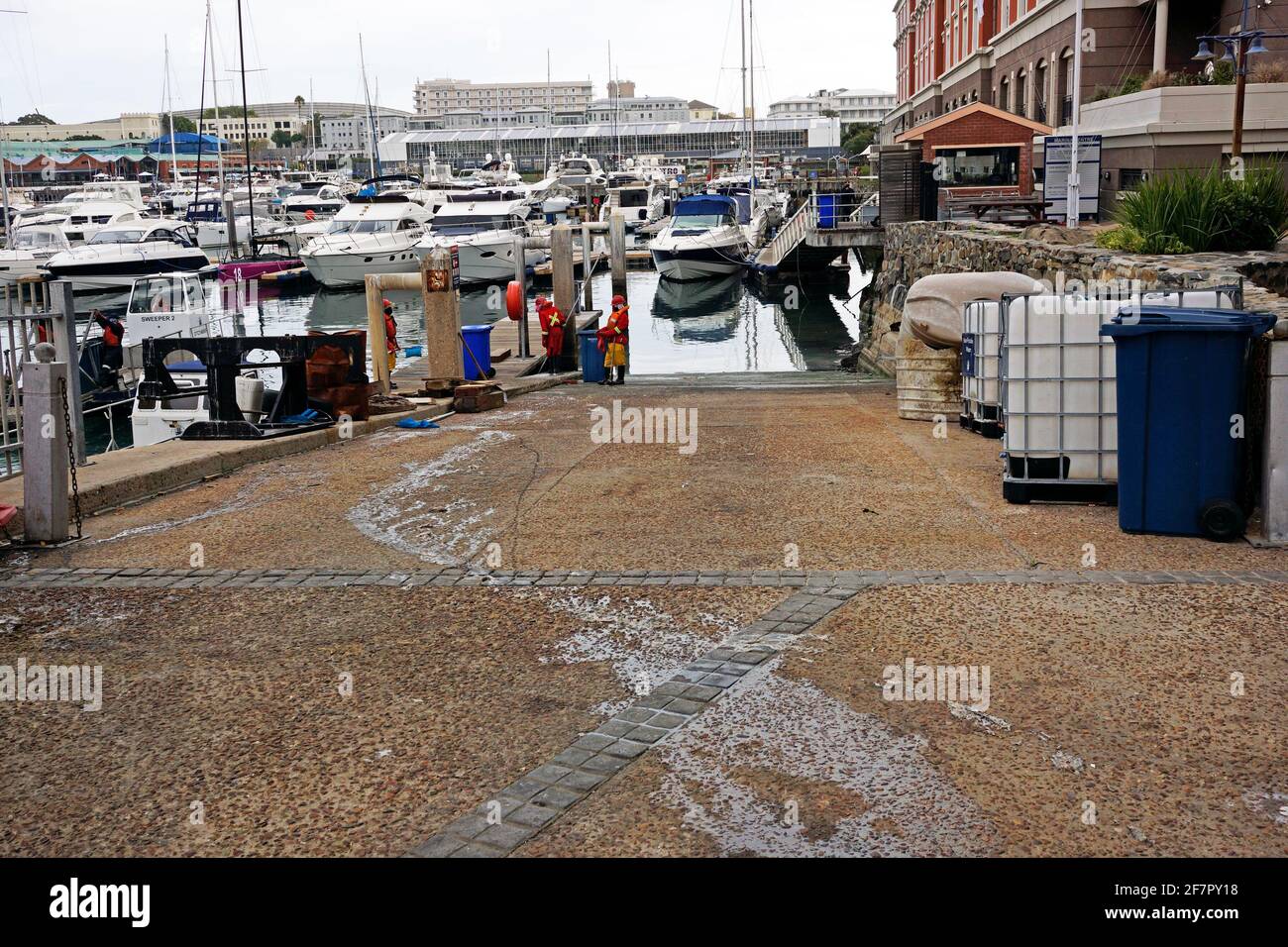Marine team cleaning water at V&A Waterfront after mass death of mullet and mackerel due to oxygen deprivation caused by overcrowding in the basin. Stock Photo