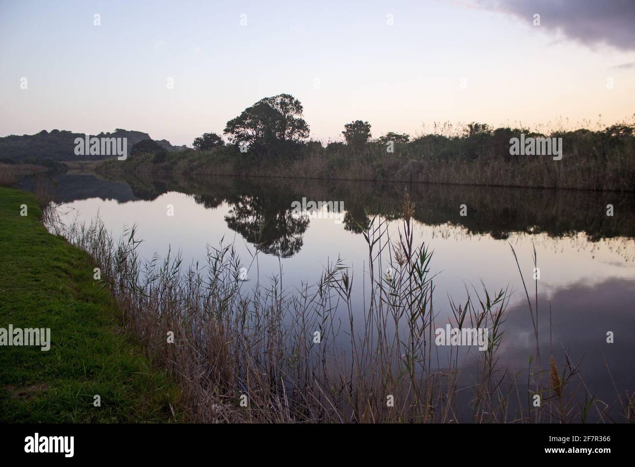 Silhouettes of trees and other riverine vegetation reflecting in the calm water of the Touw River, South Africa in the early evening Stock Photo