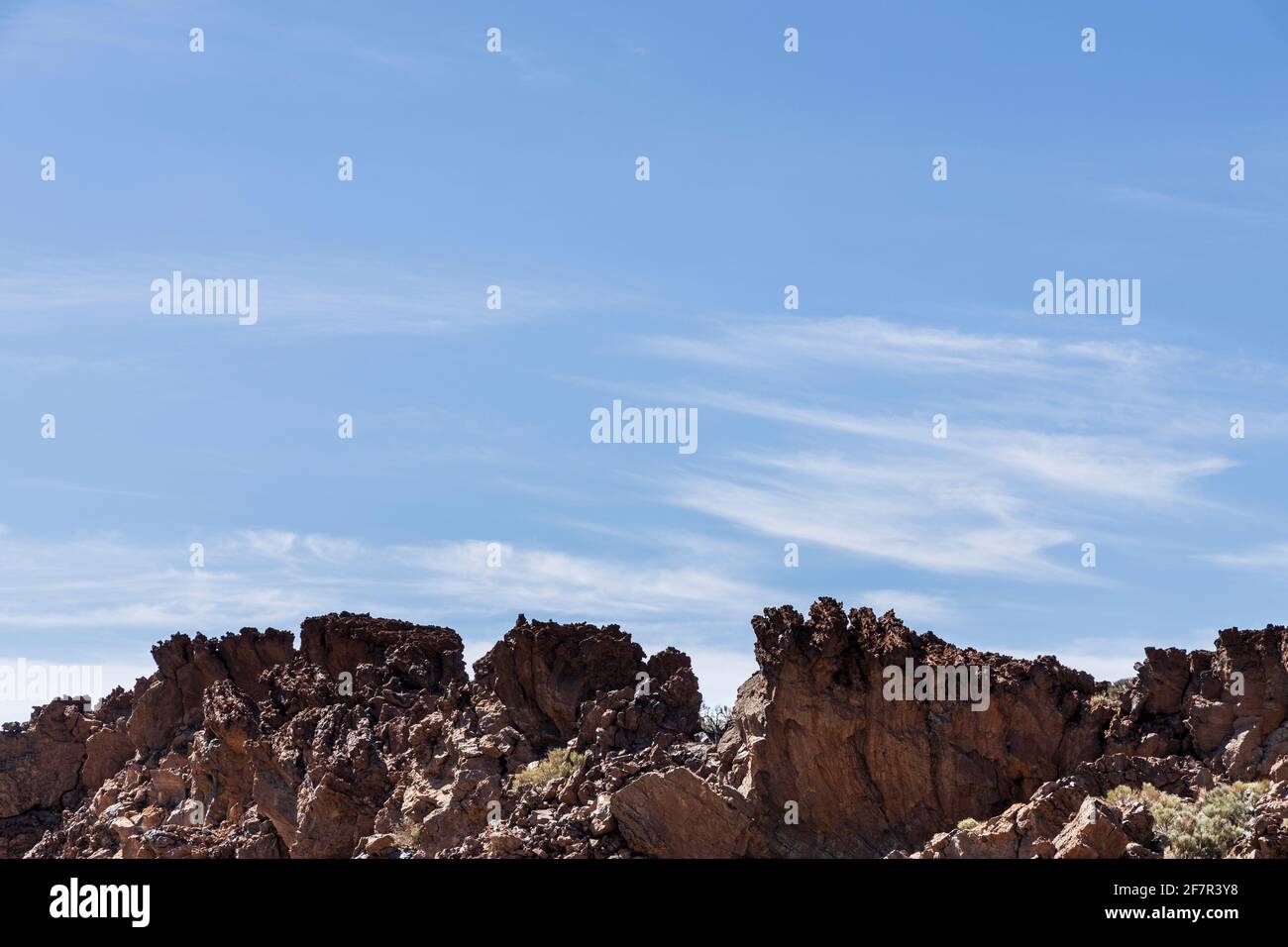 Jagged volcanic rocks and shrubs growing in the Las Canadas del Teide National Park, Tenerife, Canary Islands Stock Photo