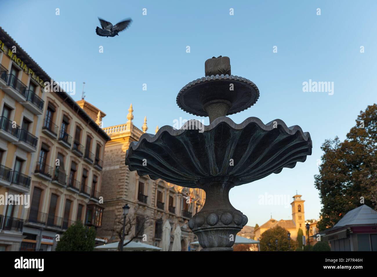 Pigeon flying towards fountain in Plaza Nueva Granada with St Ana church in the distance Stock Photo