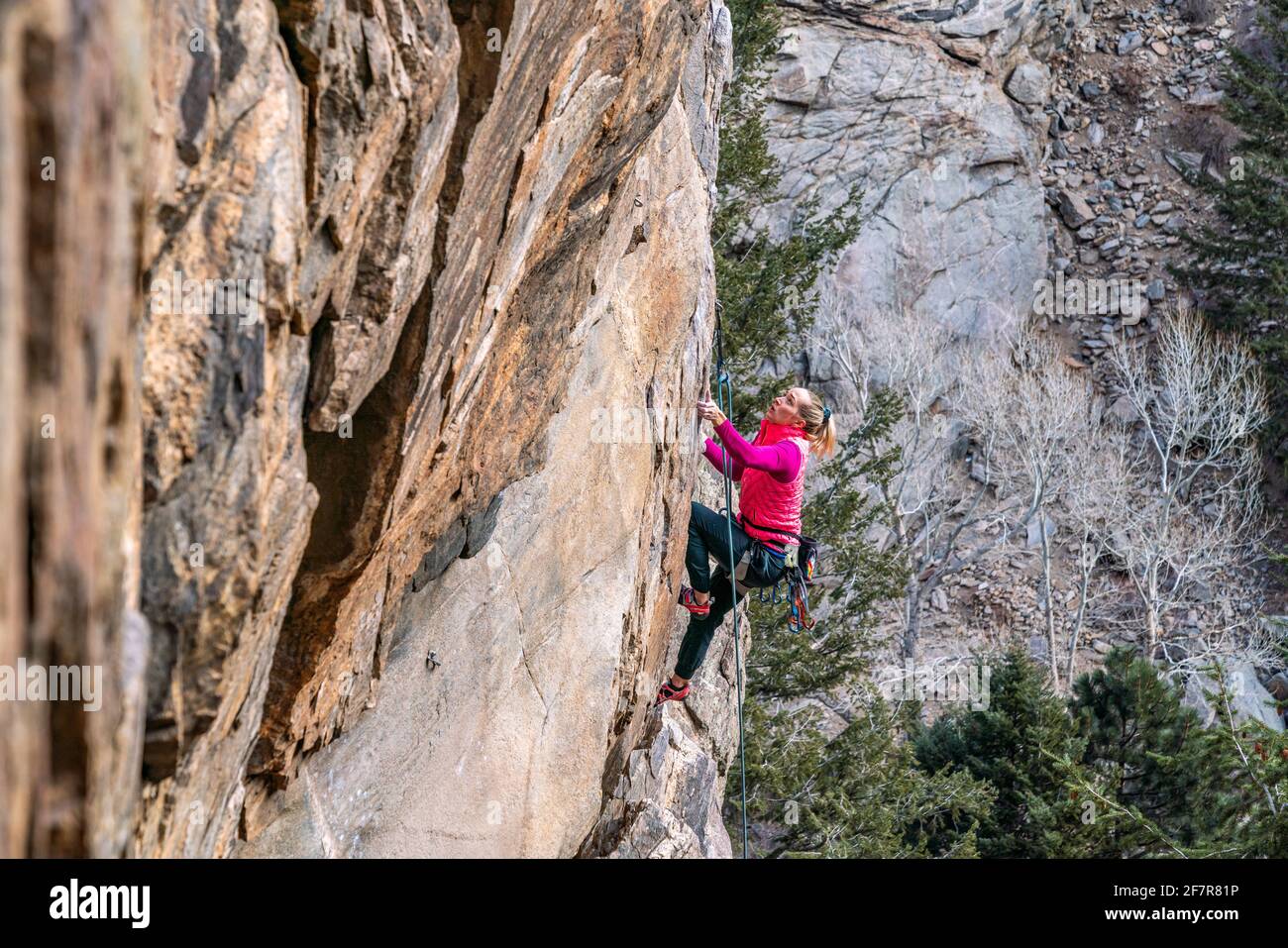 Woman rock climber navigates her up a rock face in Golden, CO Stock Photo