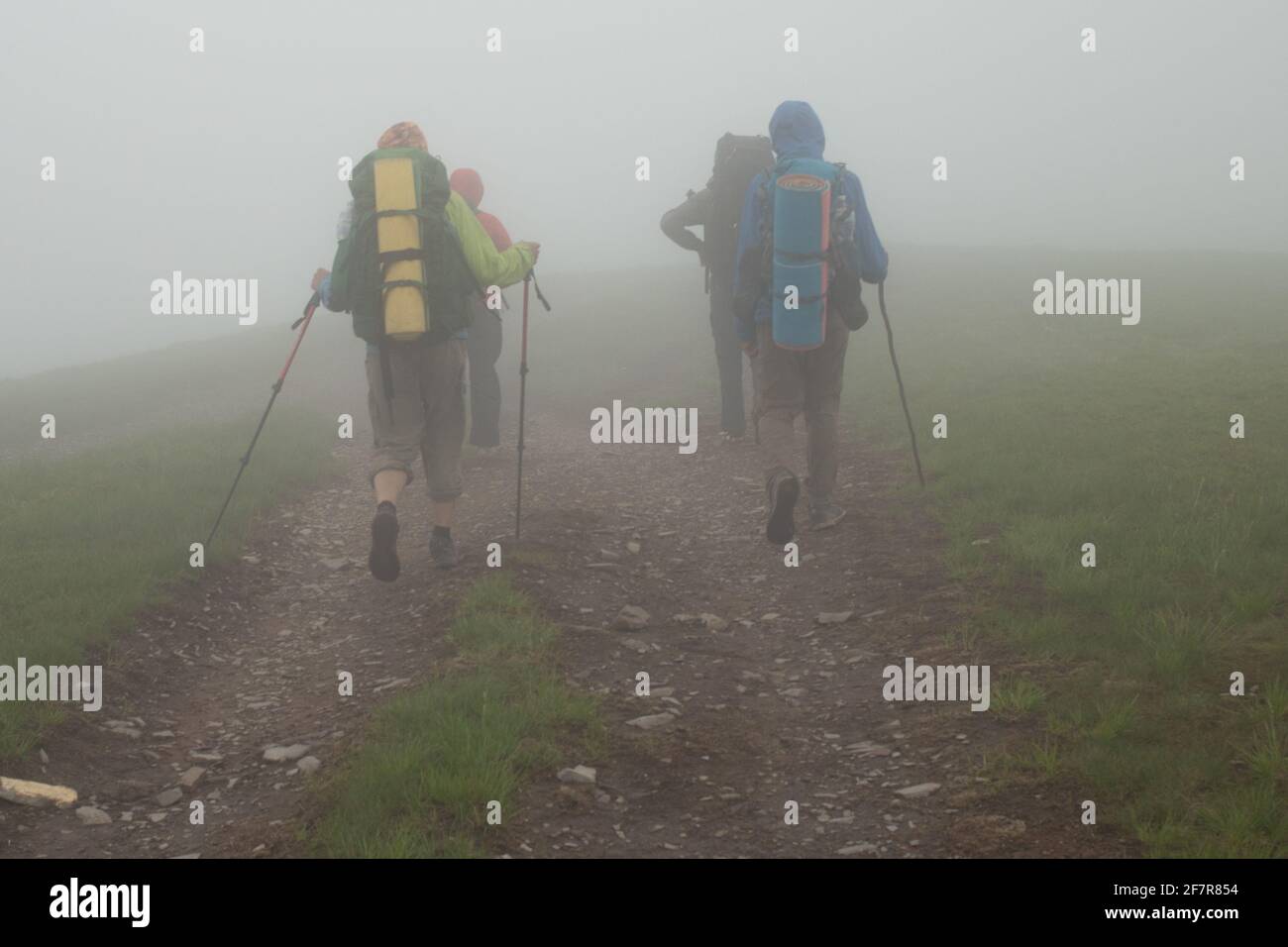 Group of tourists going with backpacks and sticks into deeply fog in the mountain. Carpathians, Ukraine. Stock Photo