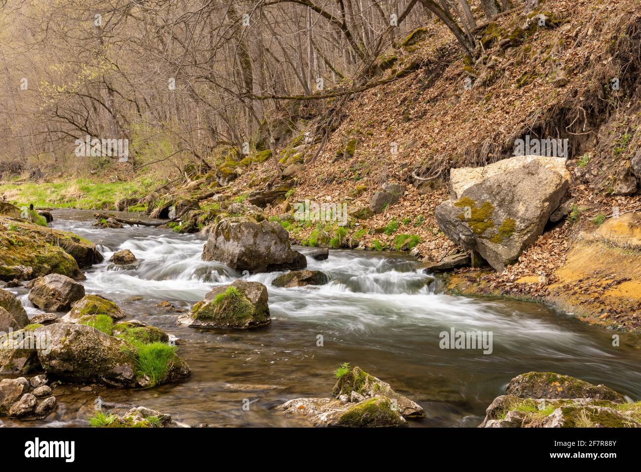 Woods Rive Spring A scenic river in the woods with rapids during spring Stock Photo - Alamy