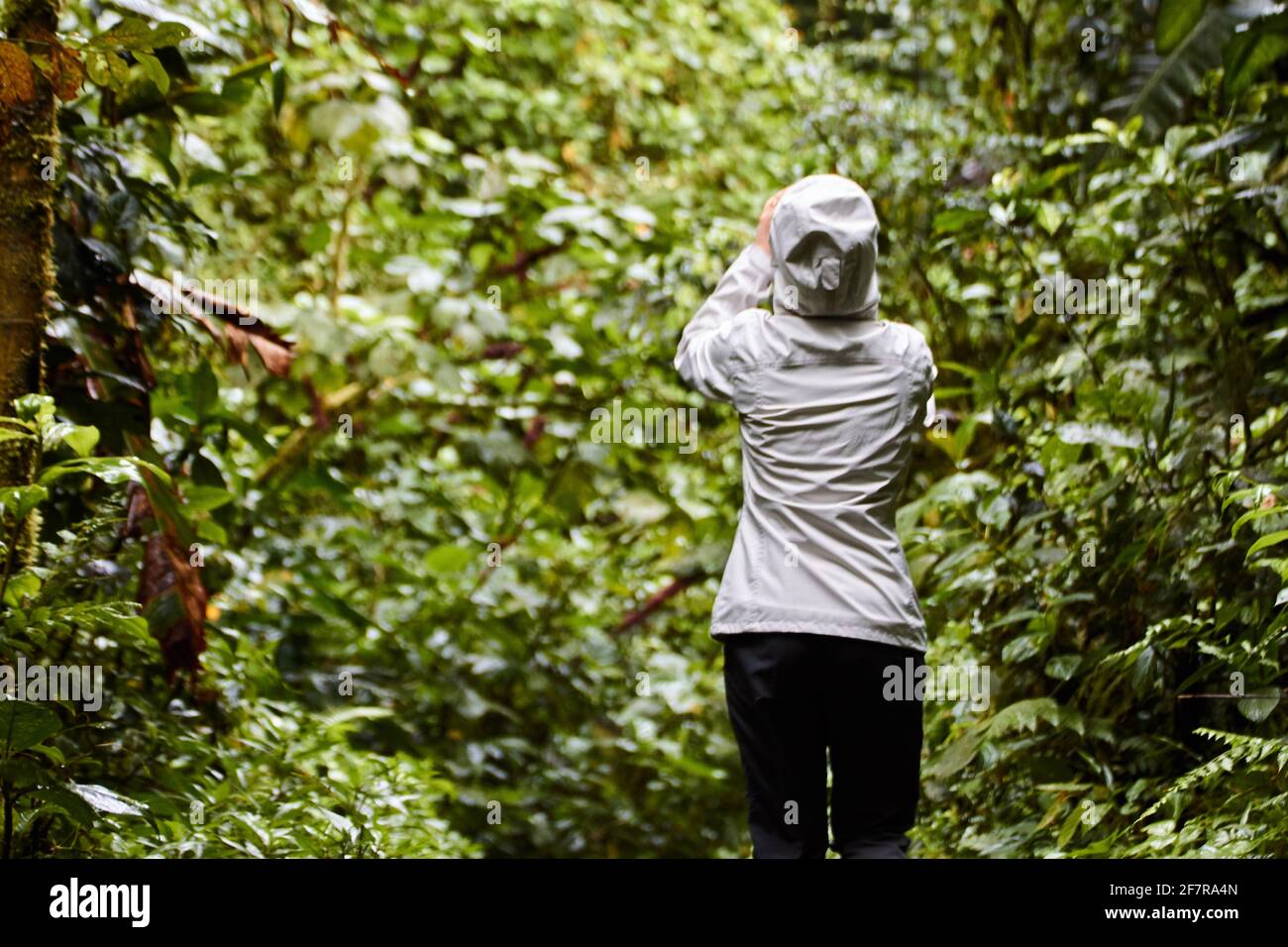 Person in the forest hi-res stock photography and images - Alamy