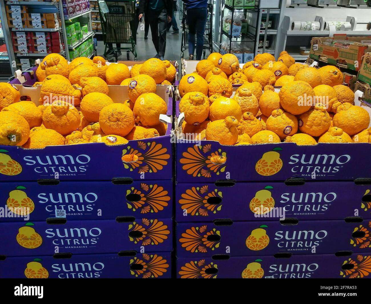 Sumo Citrus  Mother's Market