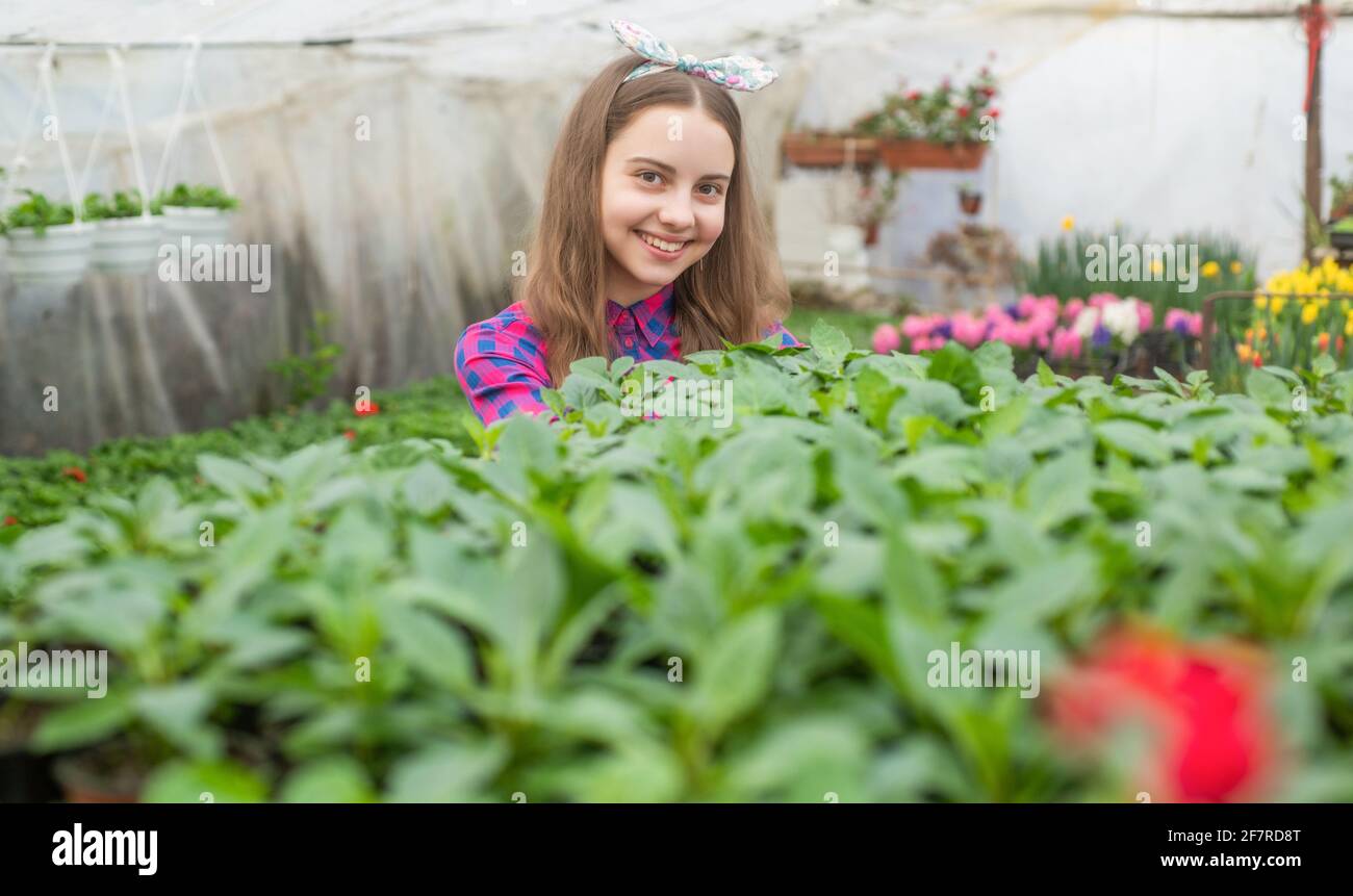 happy teen girl florist planting pot plants in greenhouse, selective focus, summer Stock Photo