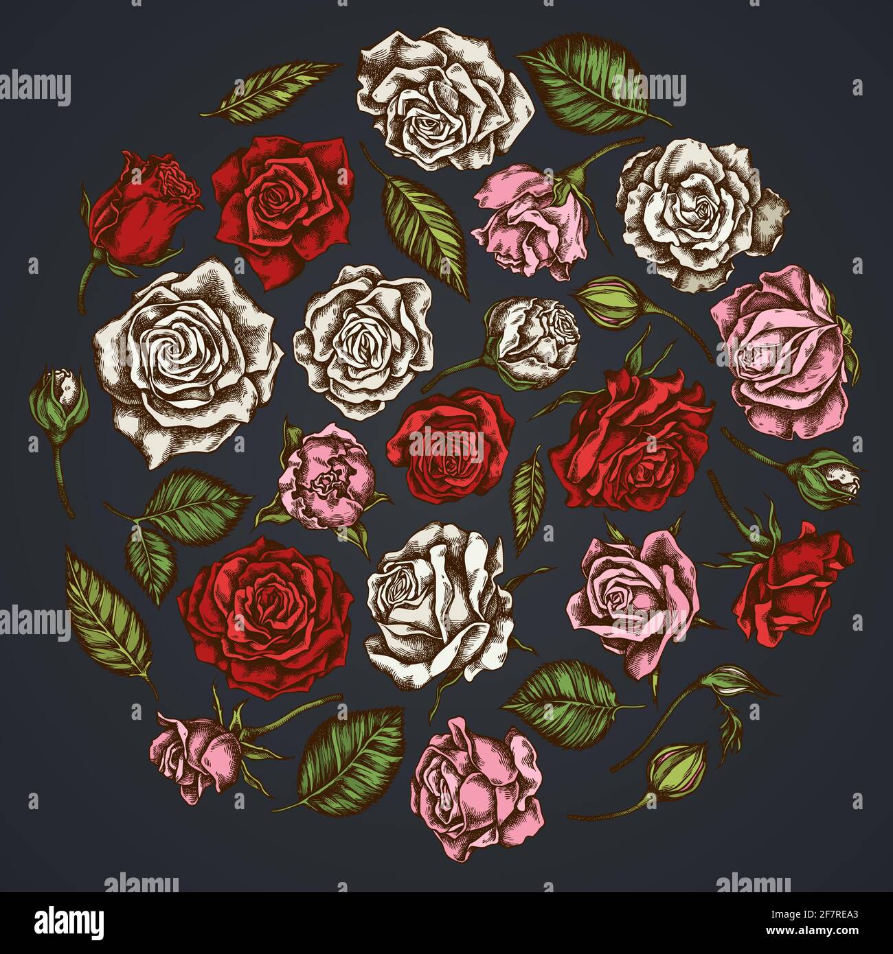 Roses pink color on dark Stock Vector Images - Alamy