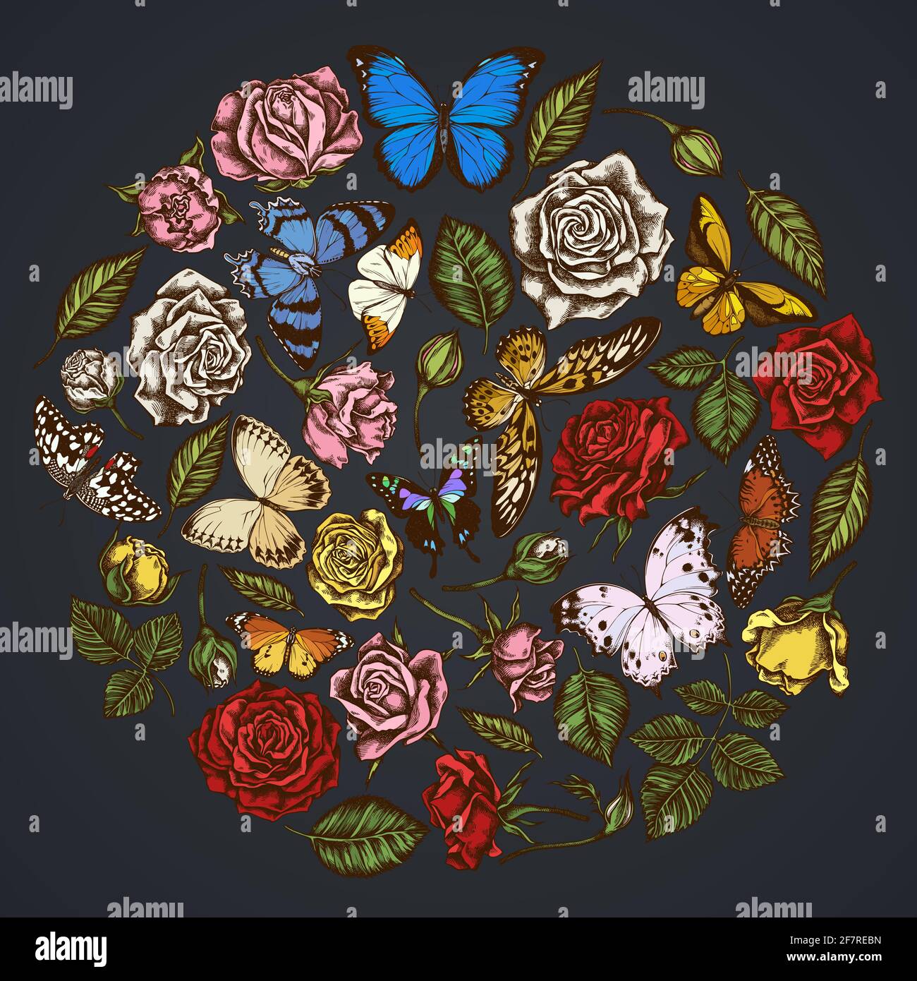 Round floral design on dark background with menelaus blue morpho, lemon butterfly, red lacewing, african giant swallowtail, alcides agathyrsus Stock Vector