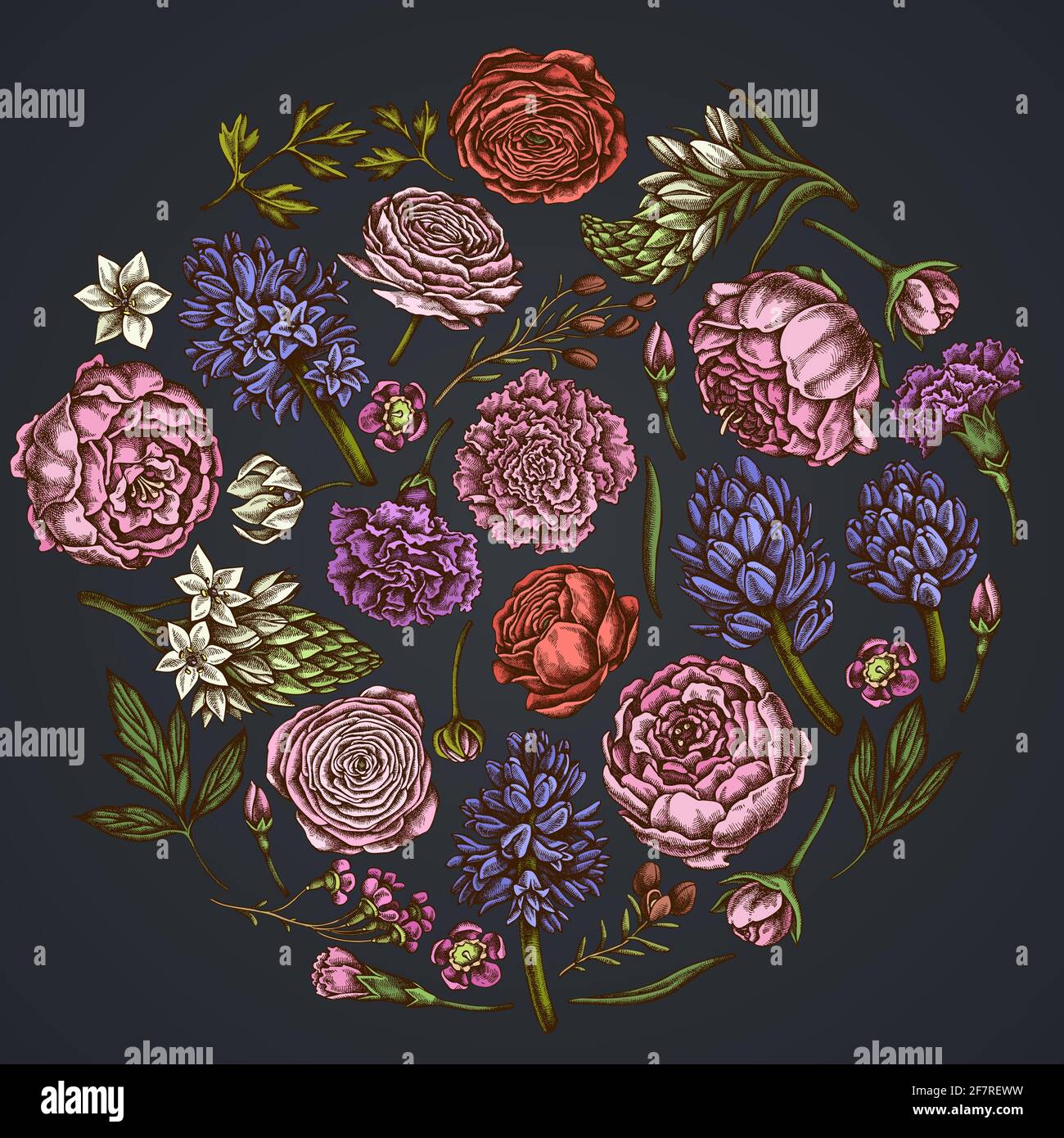 Round floral design on dark background with peony, carnation, ranunculus, wax flower, ornithogalum, hyacinth Stock Vector