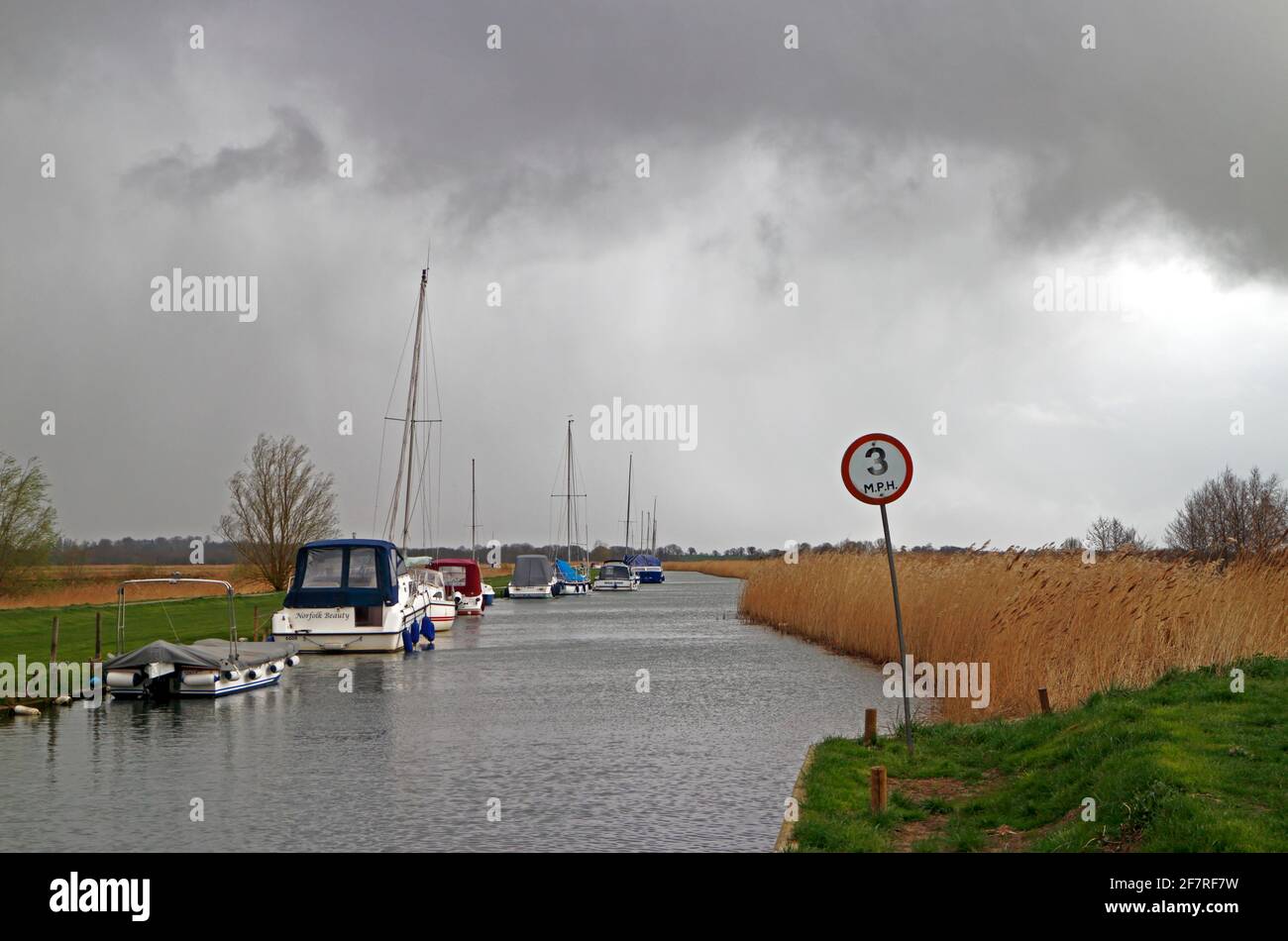 A view of a reed fringed Upton Dyke with moored boats on a showery