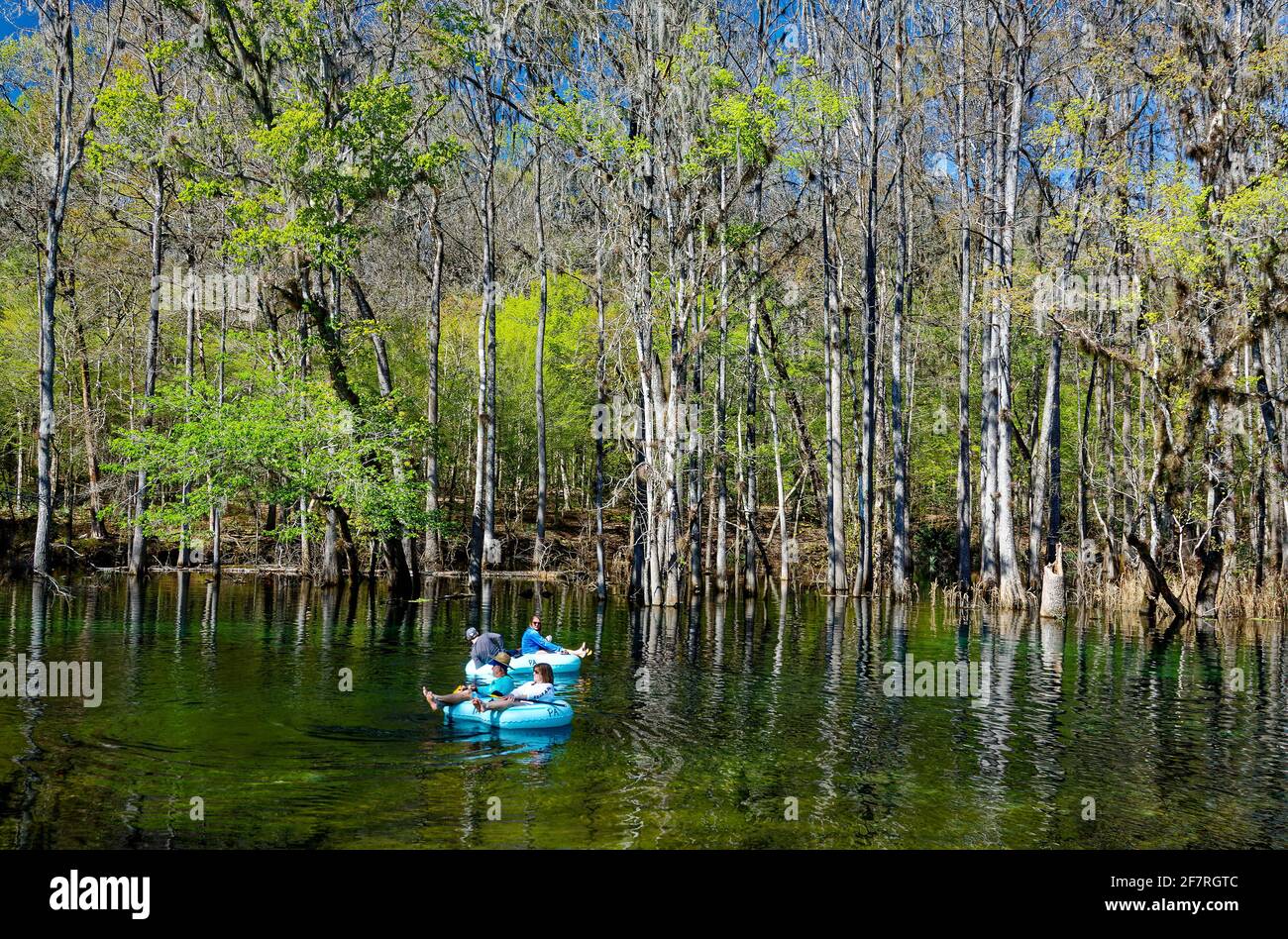 Ichetucknee springs, fort white hires stock photography and images Alamy