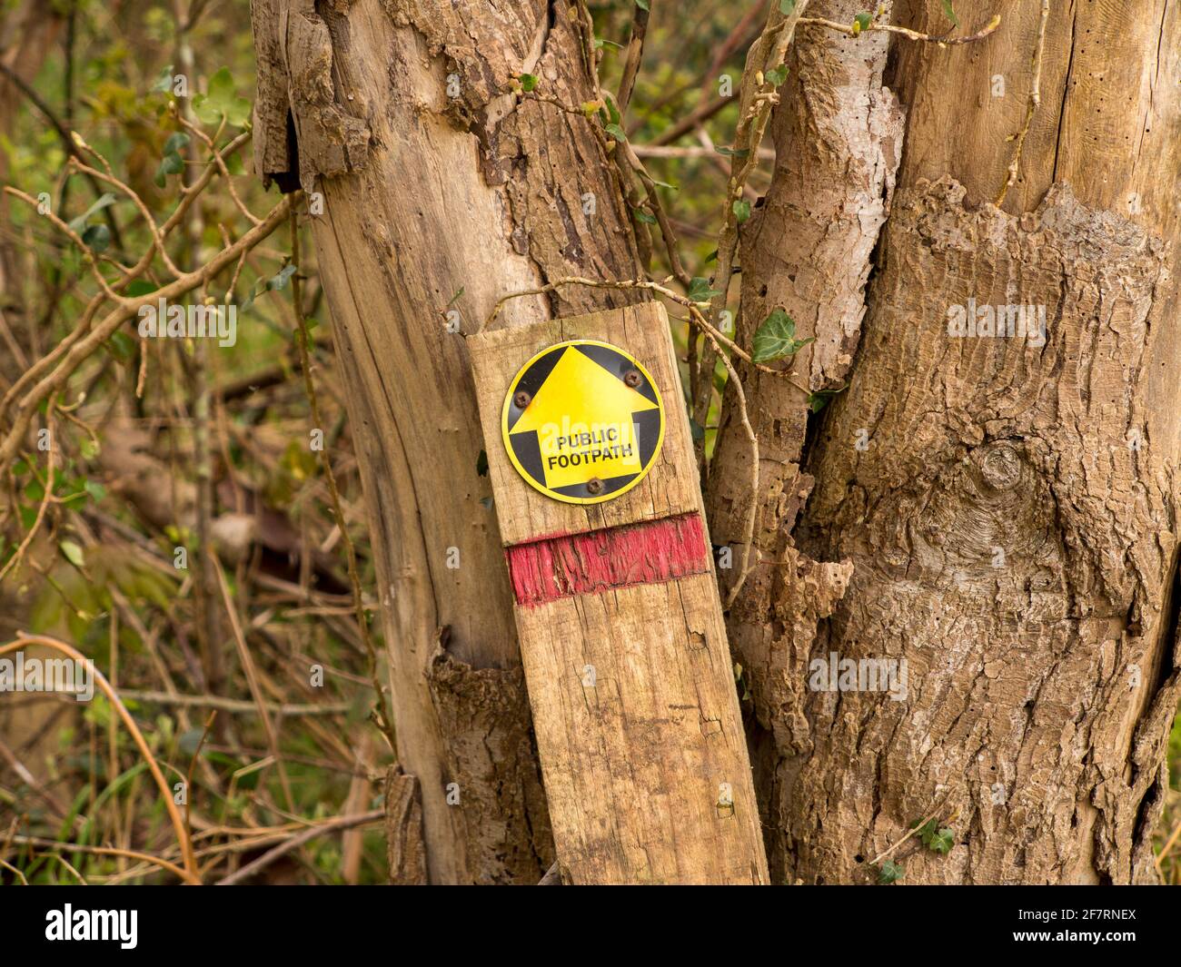 A broken footpath sign in the country laying useless against a tree Stock Photo