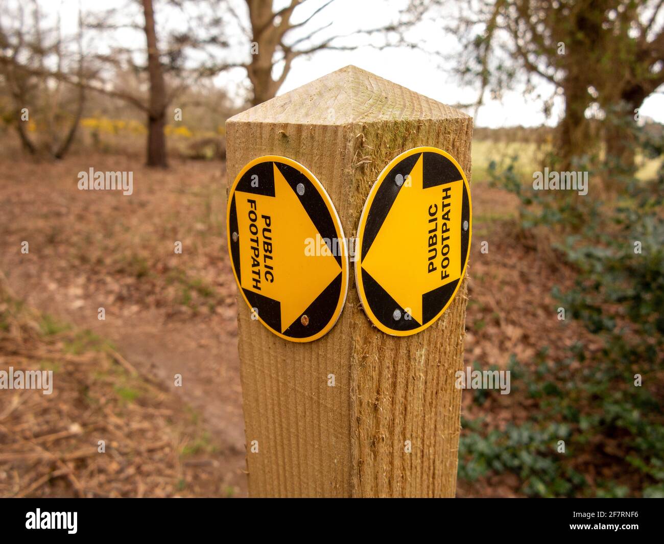 A new public footpath sign in the form of yellow arrows on discs mounted on a wooden post Stock Photo