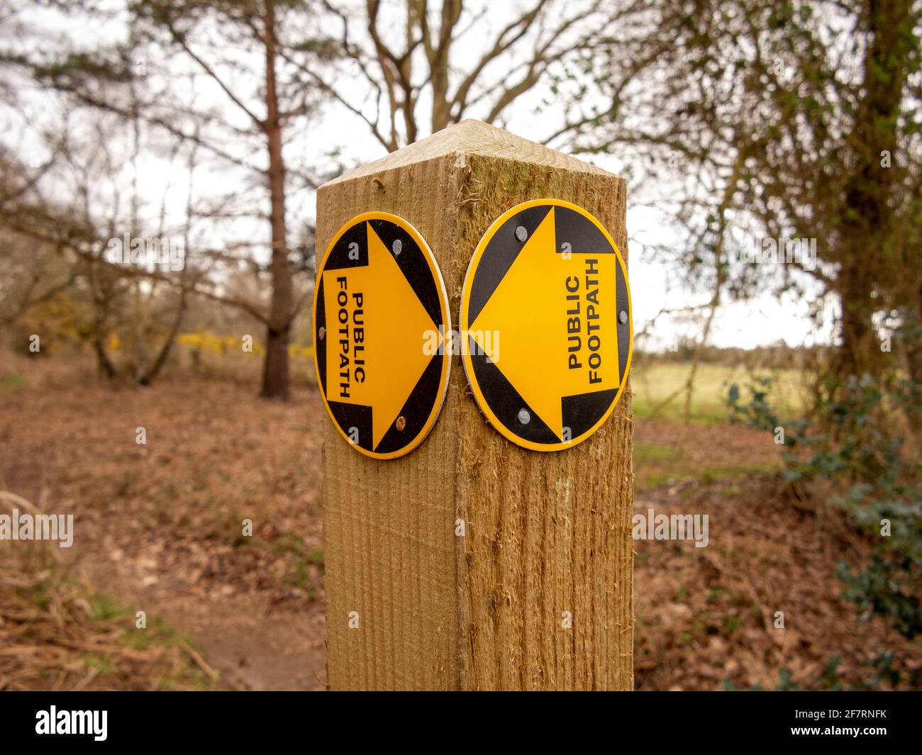 A new public footpath sign in the form of yellow arrows on discs mounted on a wooden post Stock Photo
