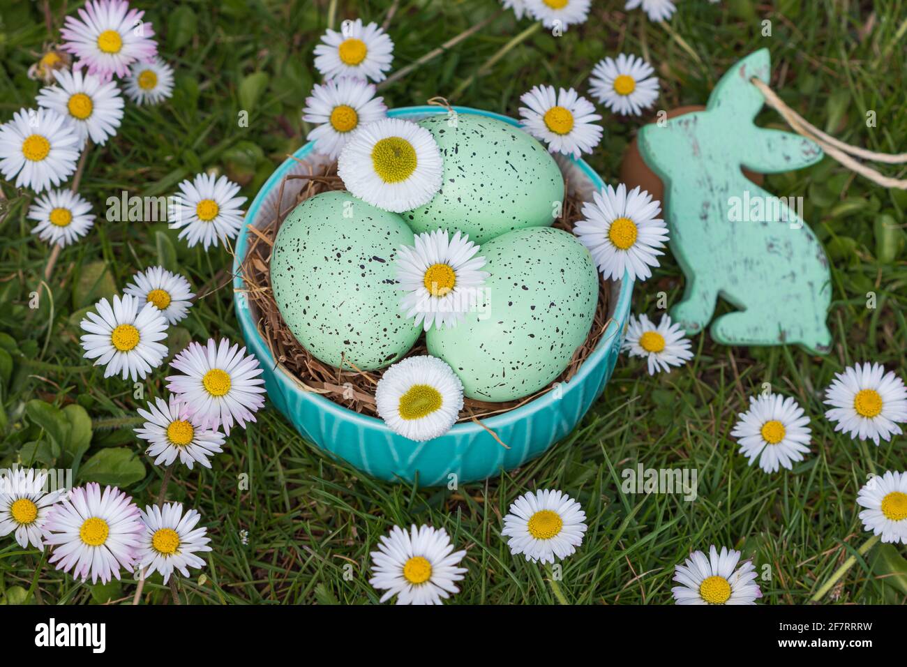 easter nest with easter egg and daisy flowers as easter decoration Stock Photo