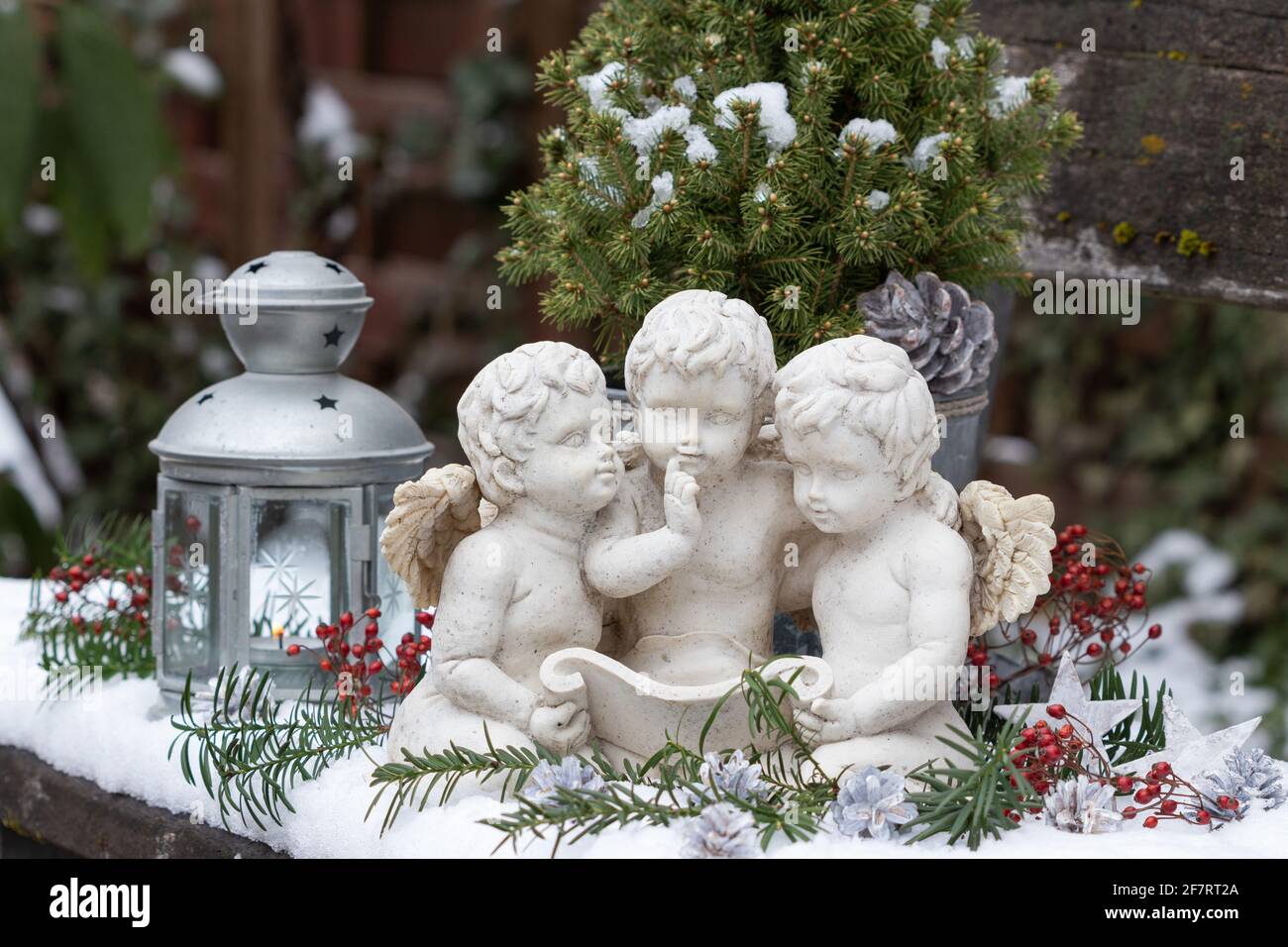 christmas decoration with angels, vintage lantern and picea glauca Stock Photo