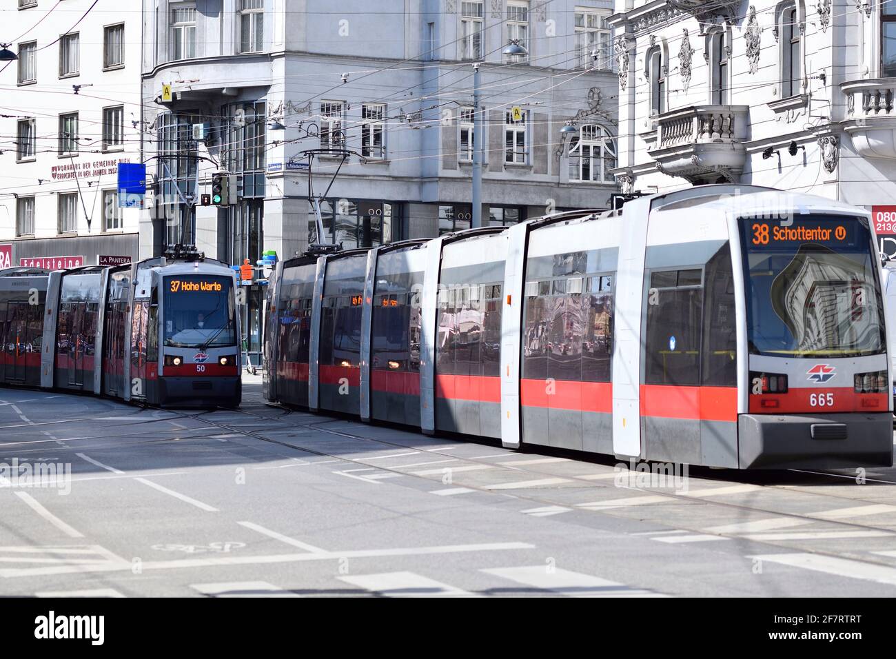 Trams in Vienna, Austria Stock Photo