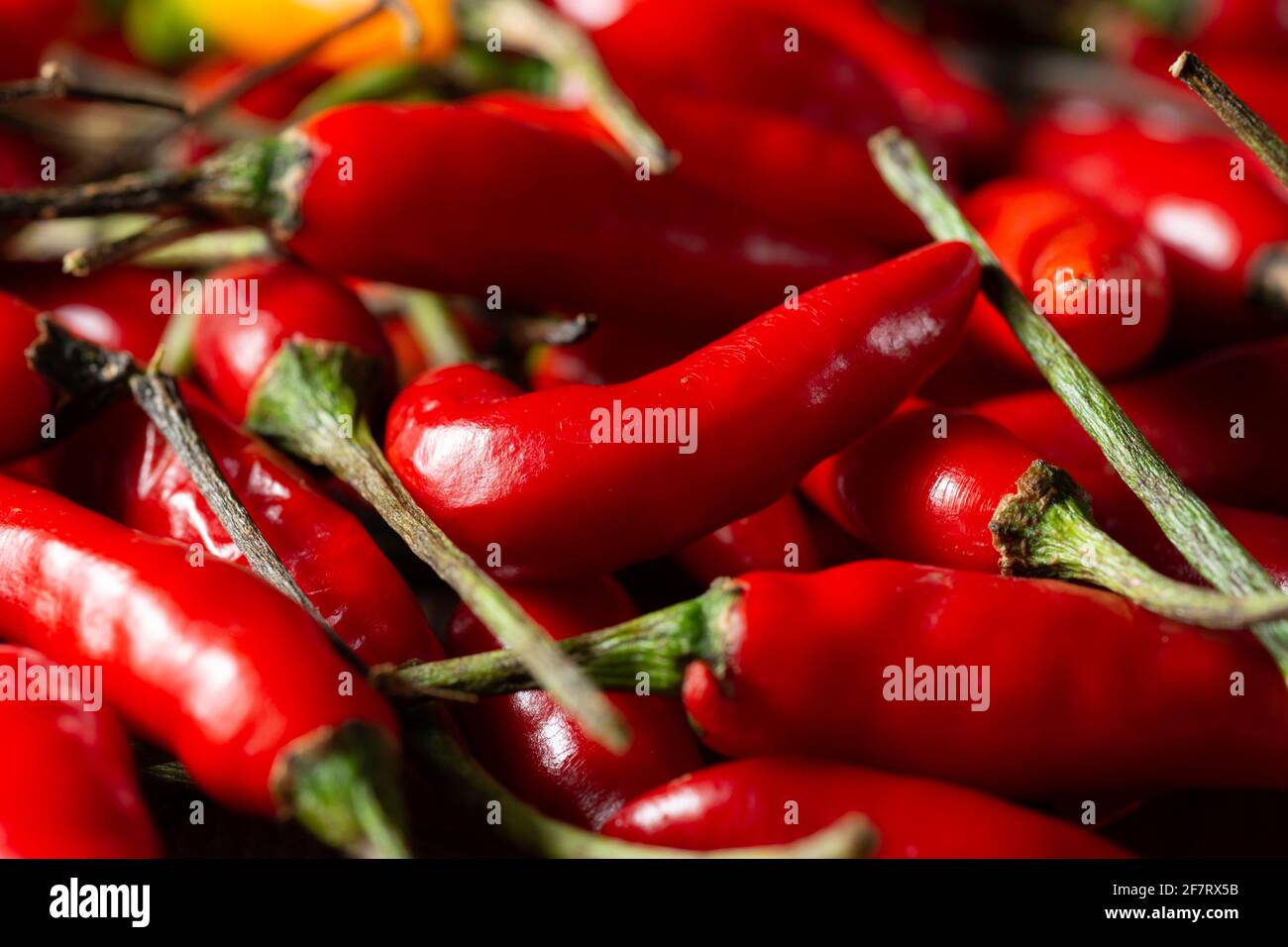 Malagueta pepper, chili pepper Stock Photo