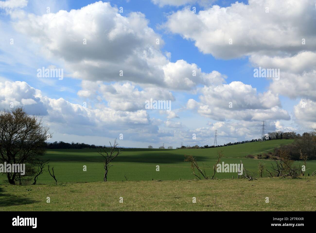 View of North Downs and electricity pilons from Stowting, Kent, England, United Kingdom Stock Photo