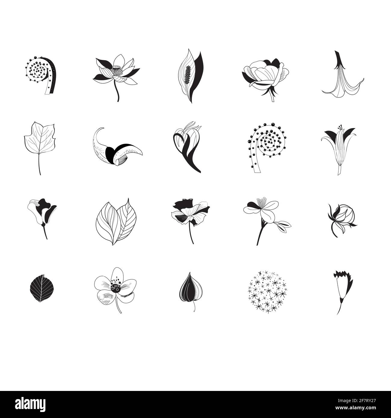 Set of graphic icons of flowers and plants on a white background Stock ...