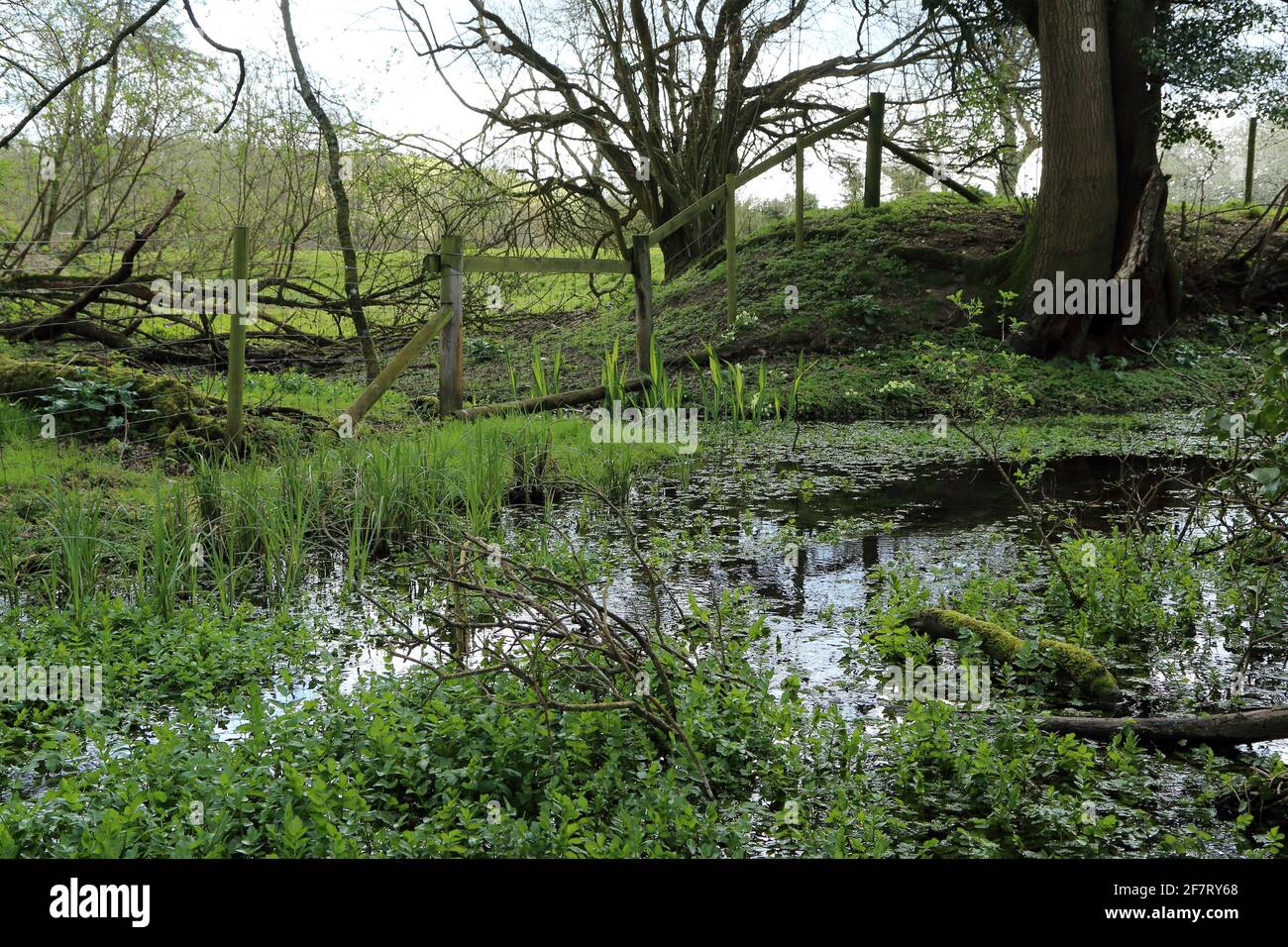 Stream at Stowting off Stowting Hill on the North Downs, Stowting, Kent, England, United Kingdom Stock Photo