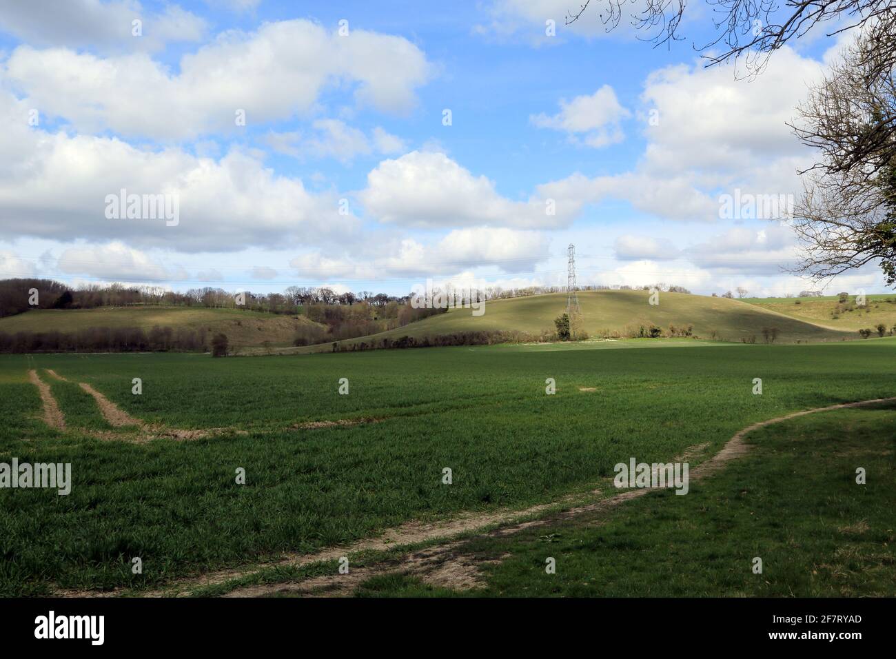 View of North Downs and electricity pilons from Stowting, Kent, England, United Kingdom Stock Photo