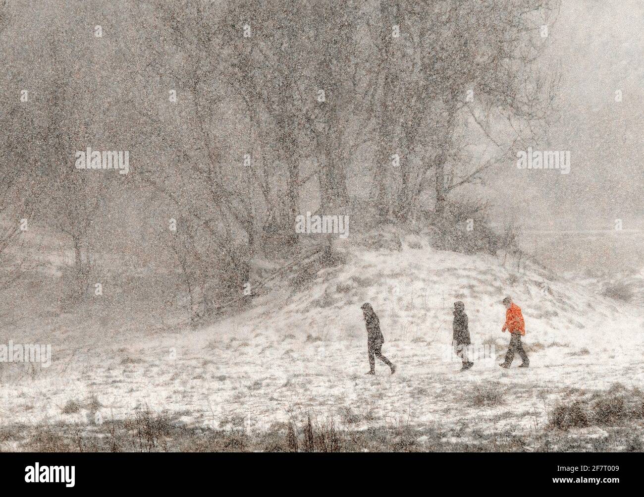 Three people walking in snowy weather. Bergen, Norway Stock Photo
