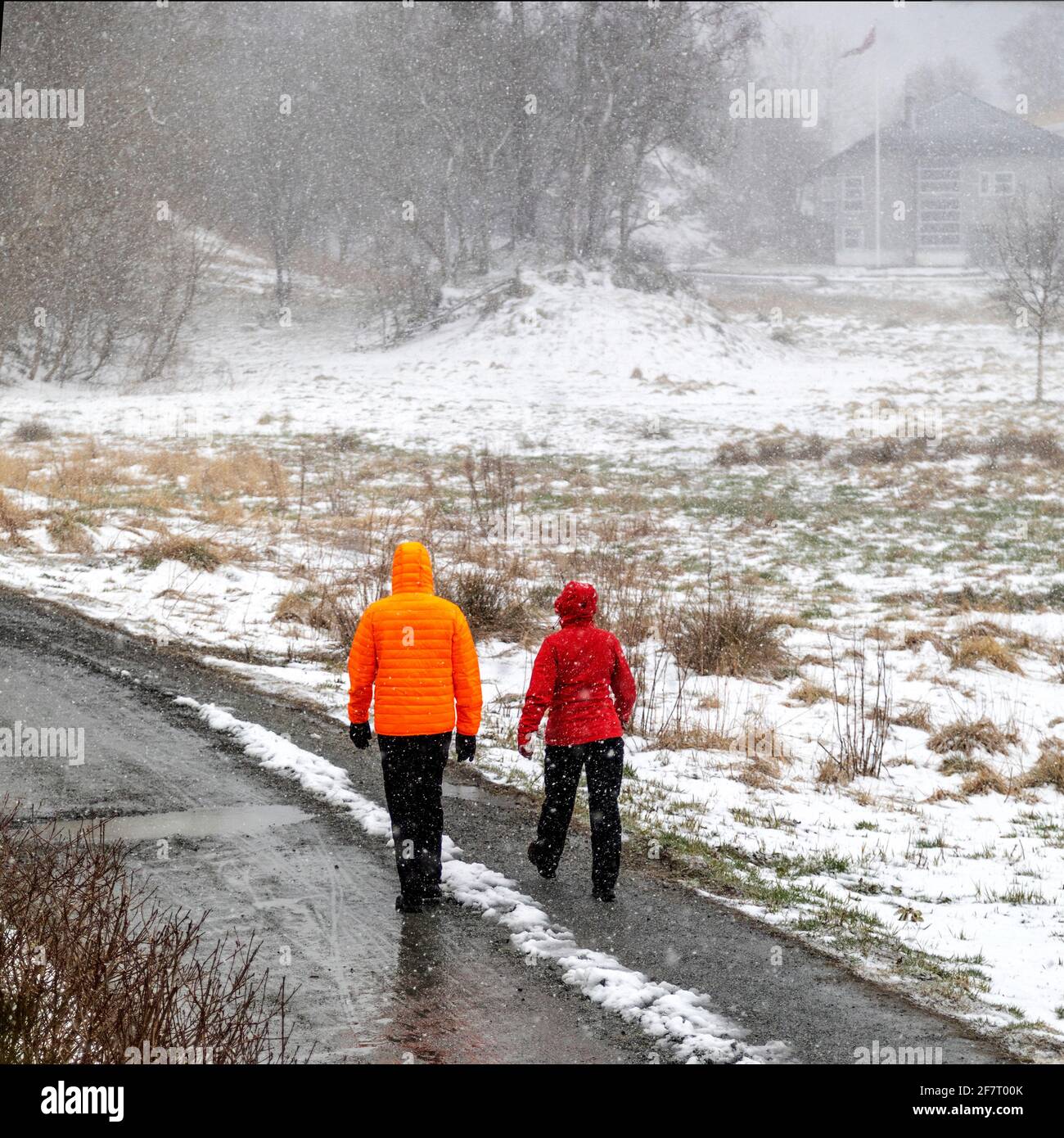 Two people walking on a path in snowy weather. Bergen, Norway Stock Photo