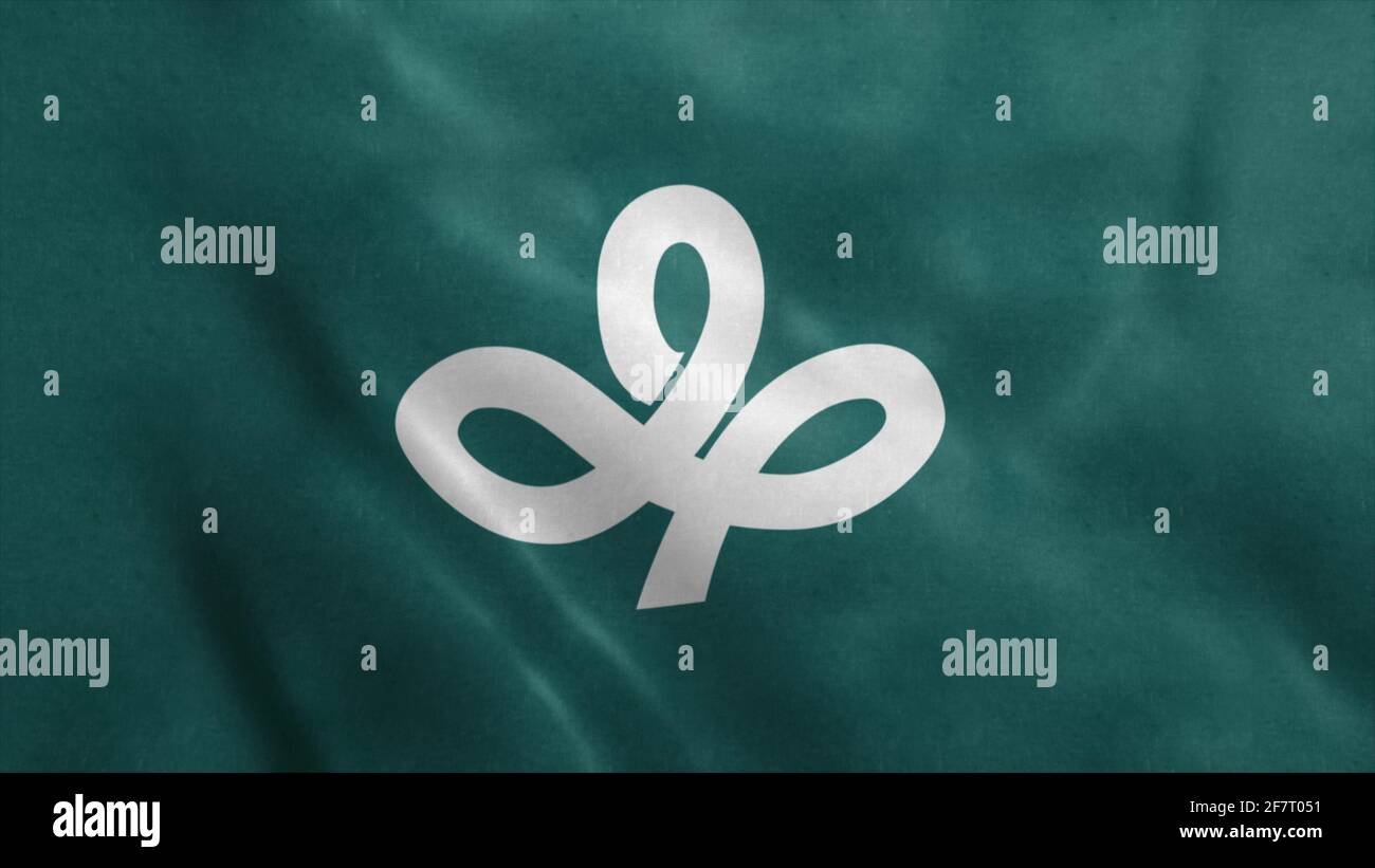 Flag of Miyagi Prefecture, Japan. 3d illustration Stock Photo - Alamy