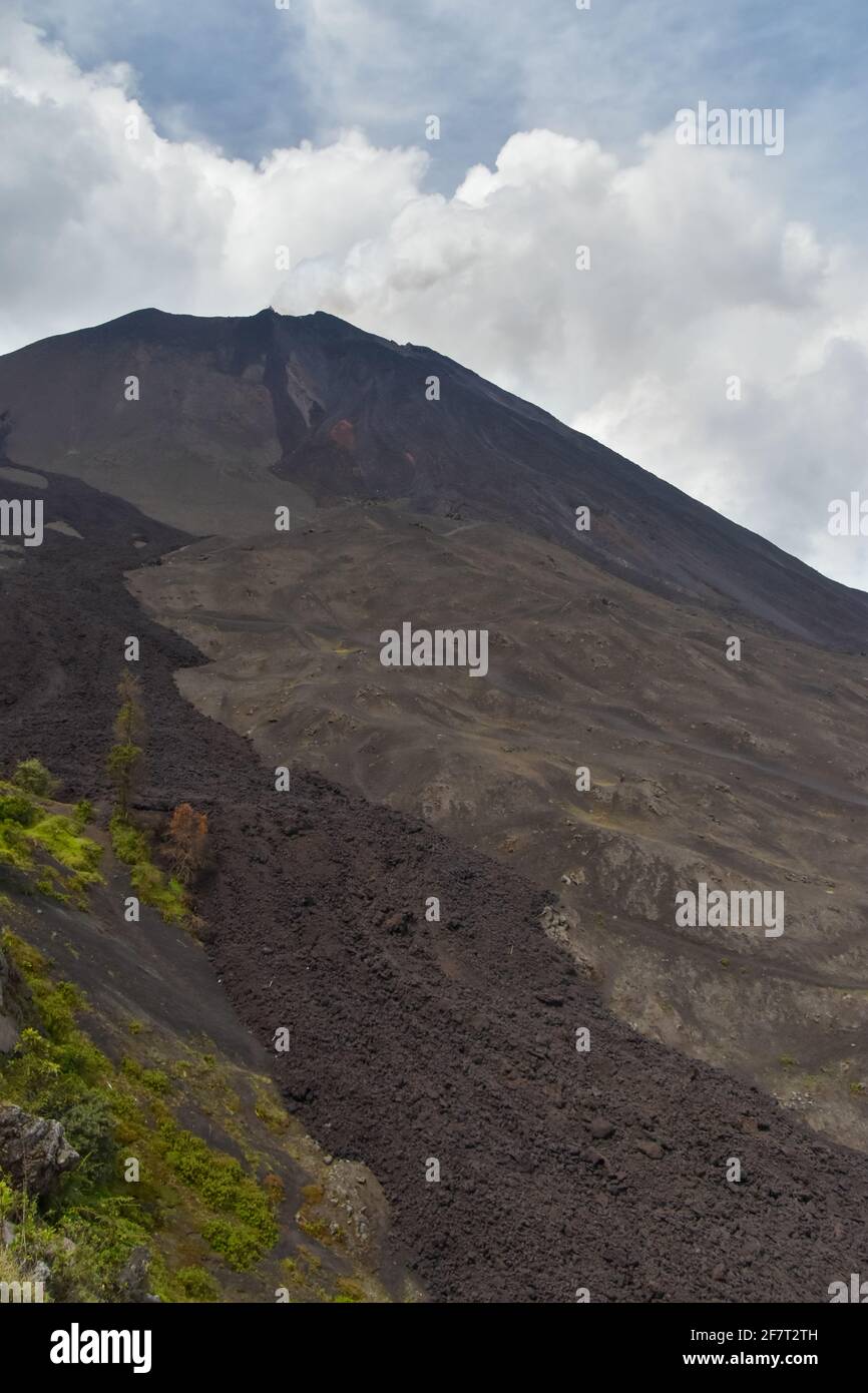 Pacaya is an active complex volcano in Guatemala Stock Photo - Alamy