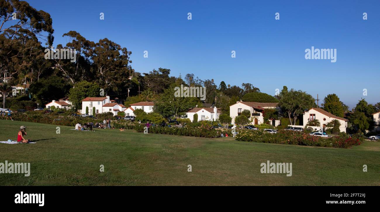 Sb Rose Tea Santa Barbara Rose Garden Stock Photo - Alamy