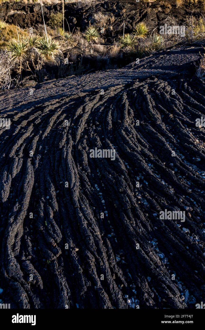 Pahoehoe lava looks like twisted rope in the Valley of FIres Recreation ...